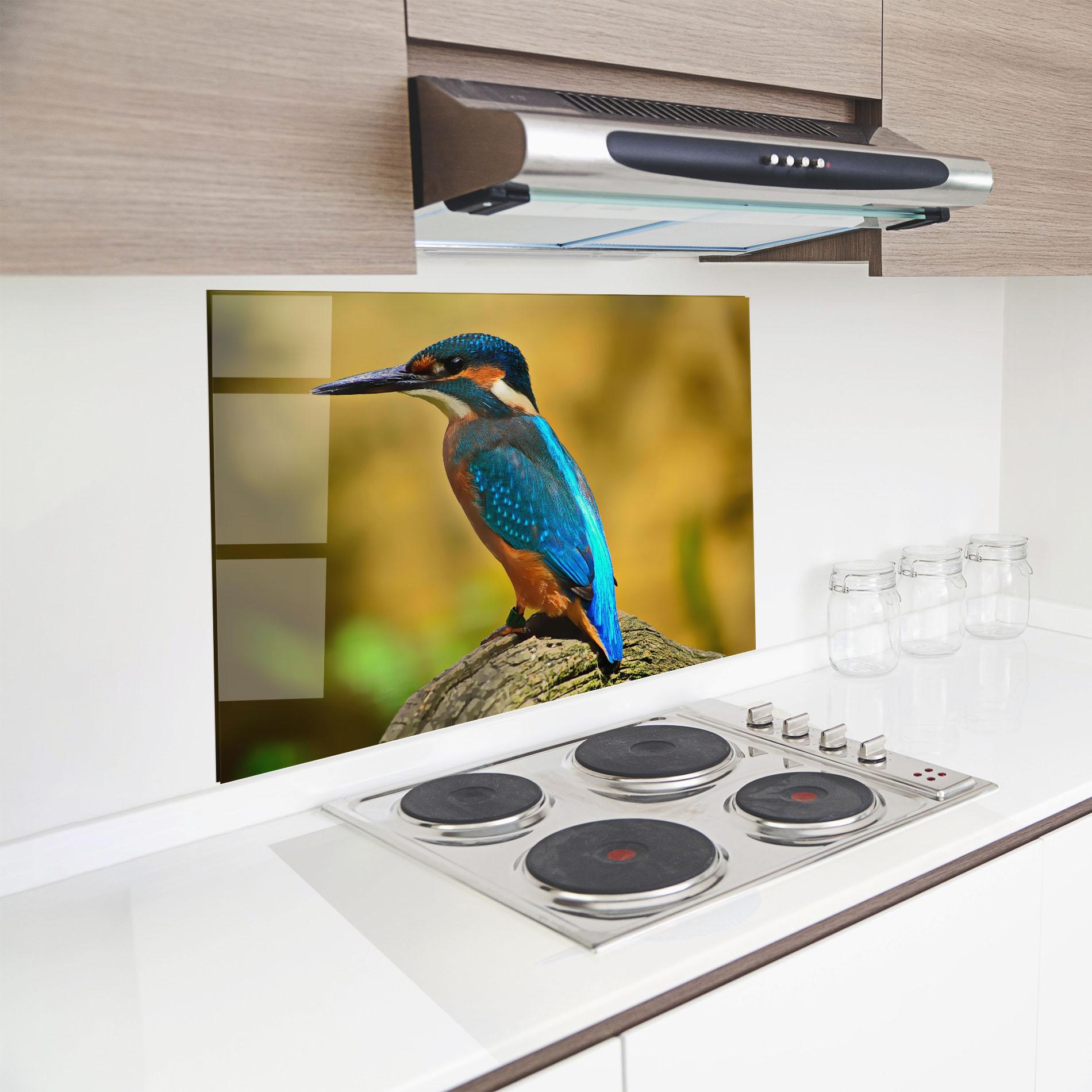 Konyhai üveg hátfal Cute Blue Bird mockup 8