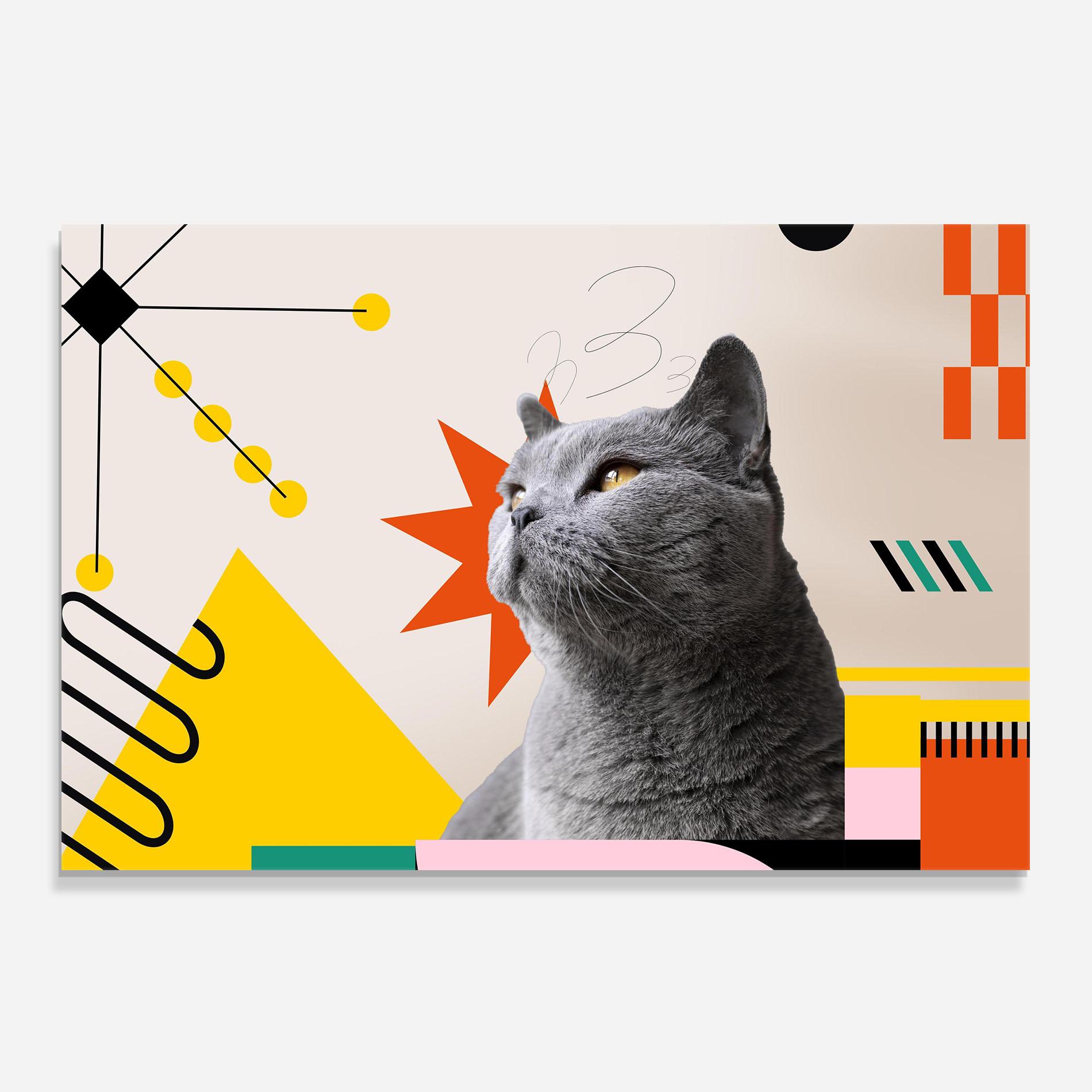 Konyhai üveg hátfal Colorful Graphic Cat mockup 0