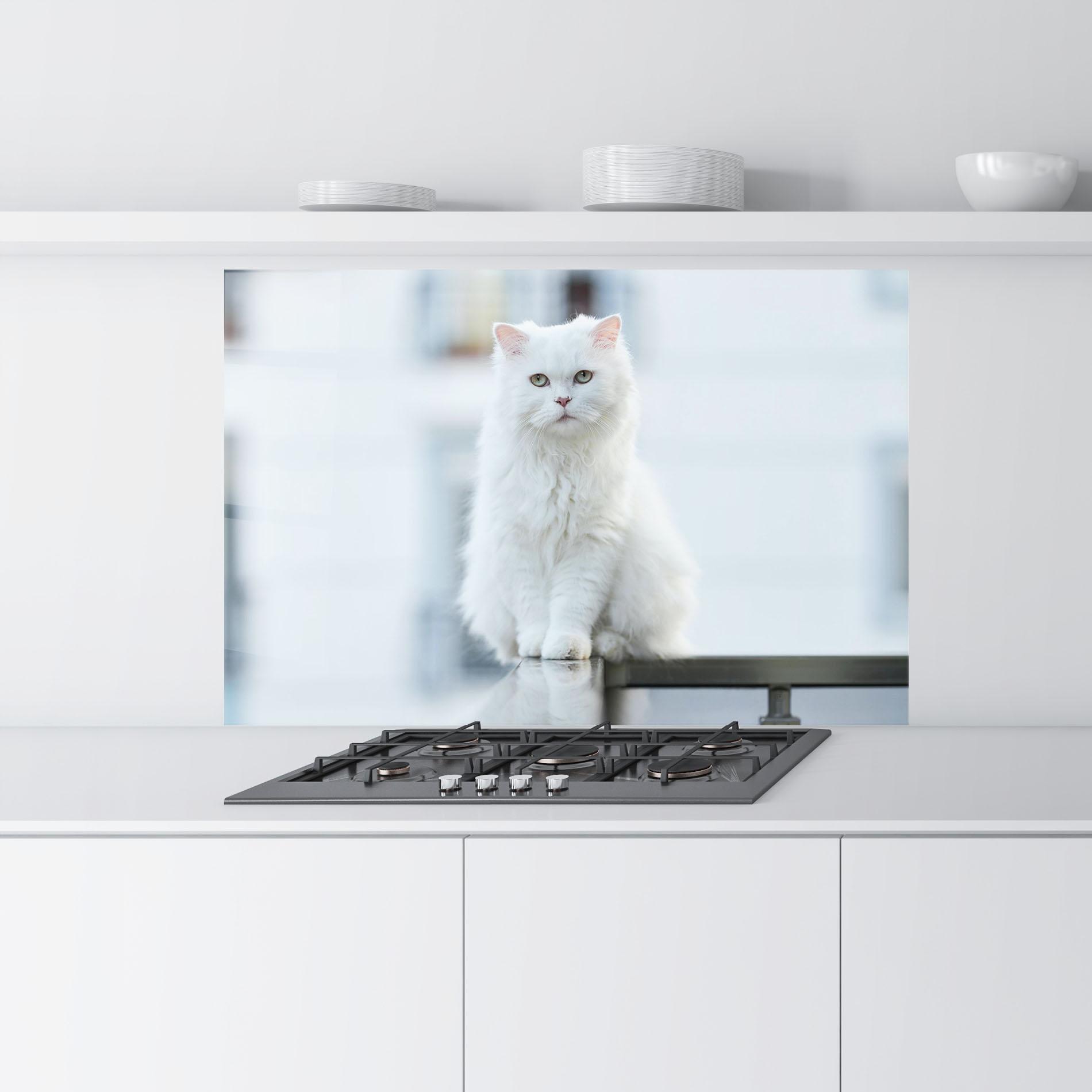 Konyhai üveg hátfal Big White Cat mockup 9