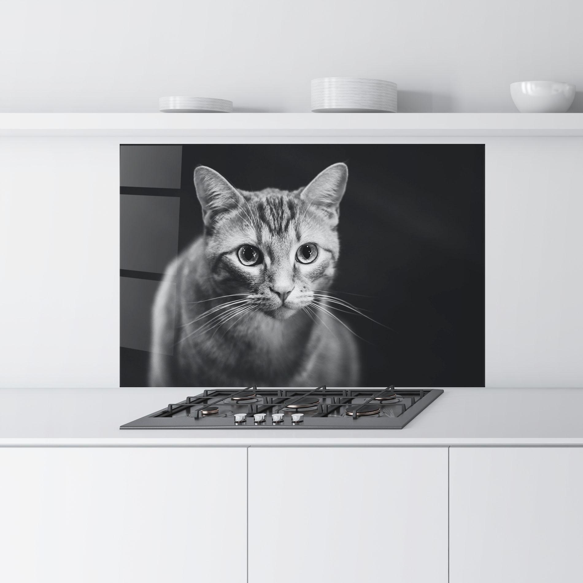 Konyhai üveg hátfal Grey Kitty On Black mockup 9