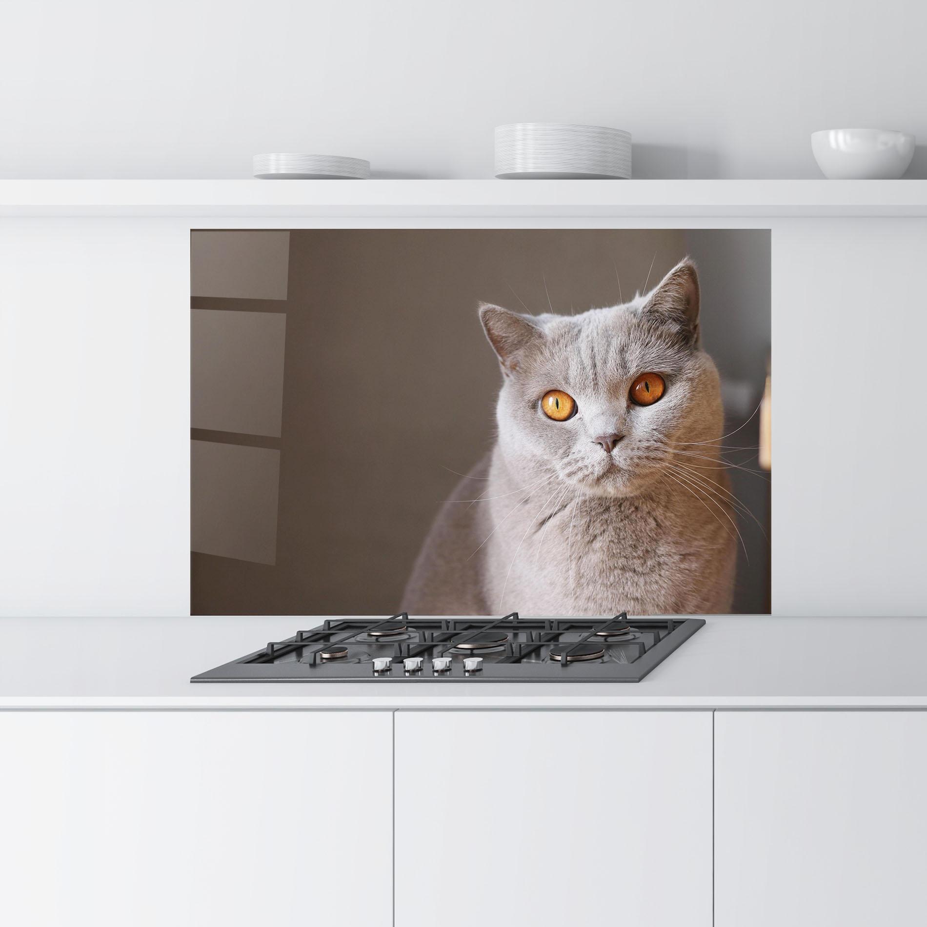 Konyhai üveg hátfal Orange Eyes Cat mockup 9