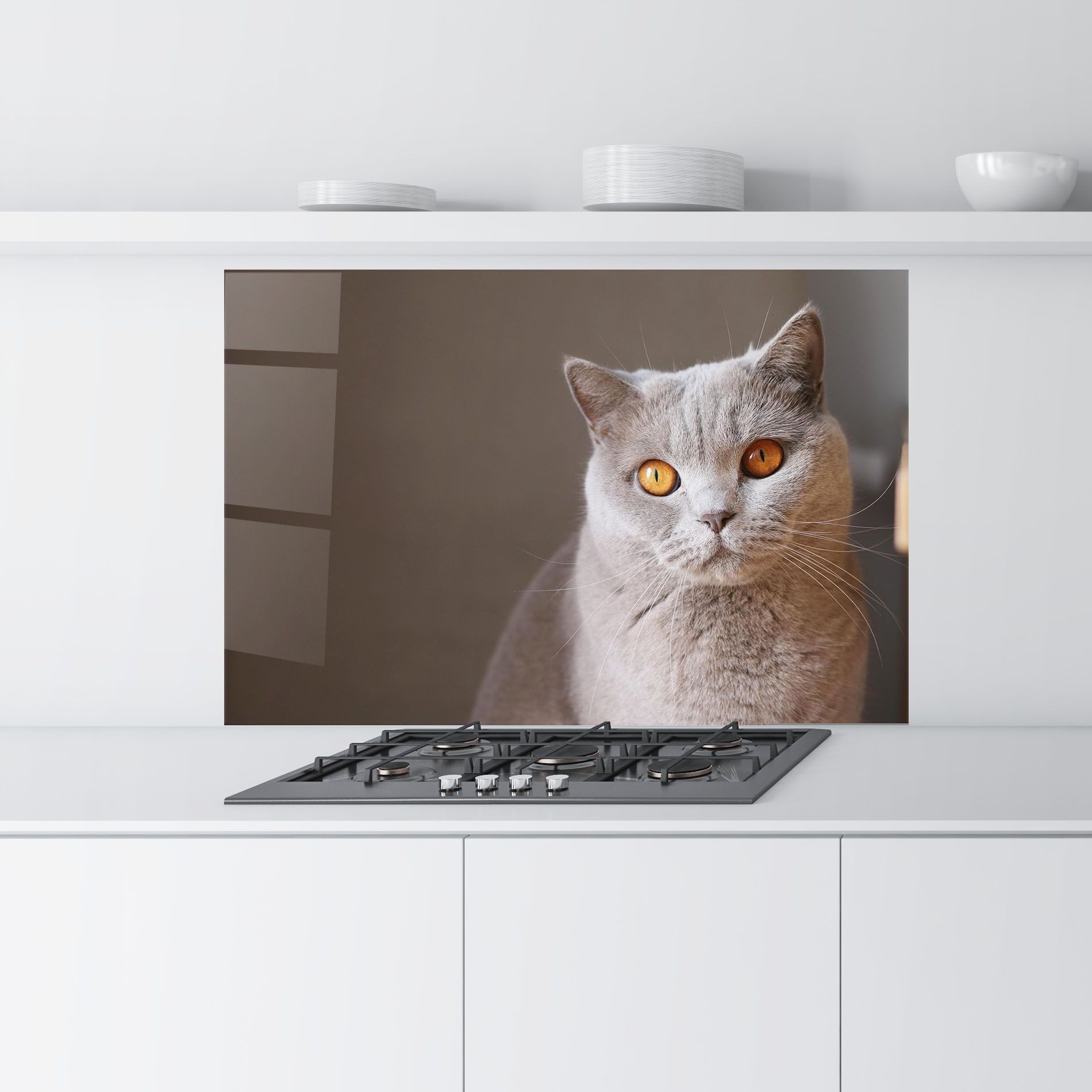 Orange Eyes Cat mockup 9