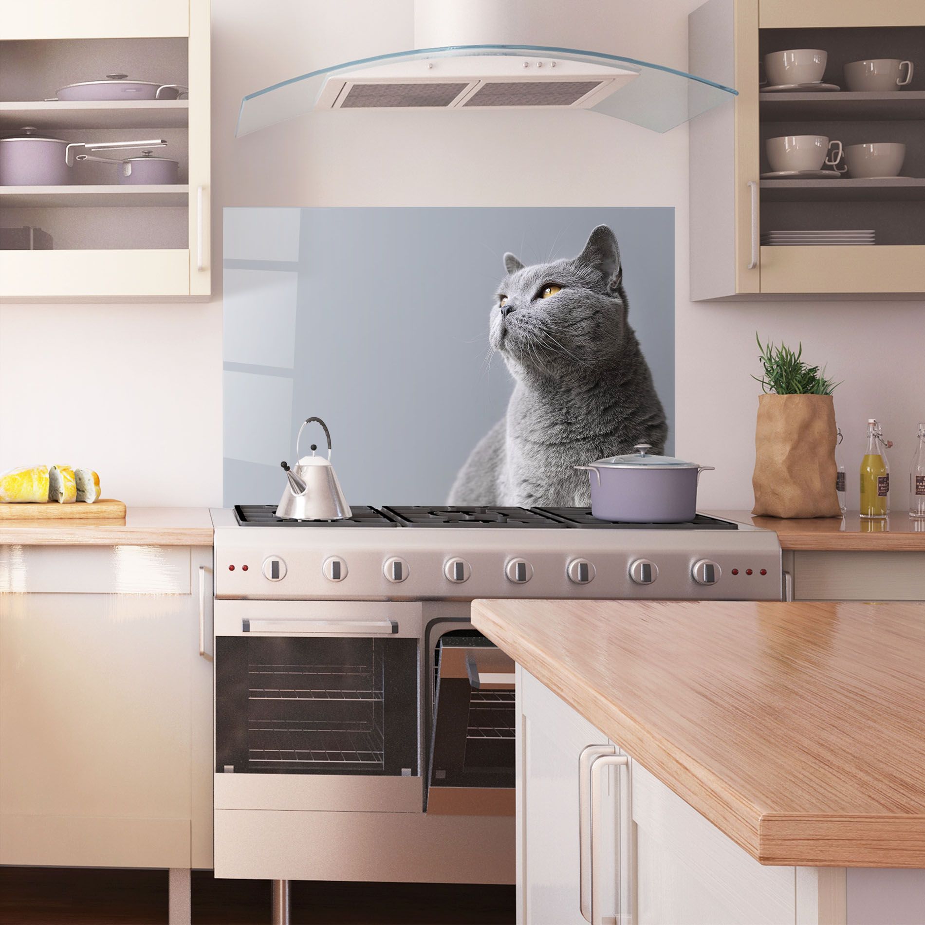 Gray Kitty mockup 1