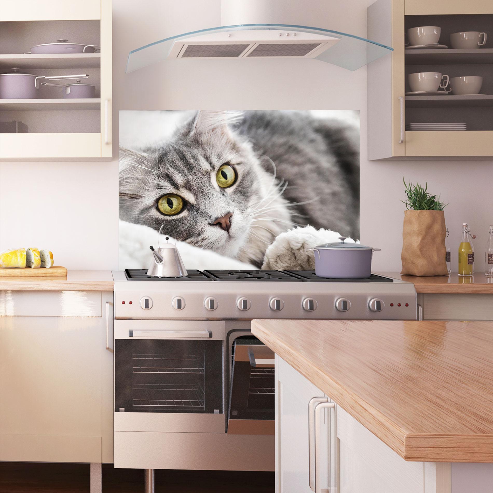 Konyhai üveg hátfal Grey Fluffy Cat mockup 1