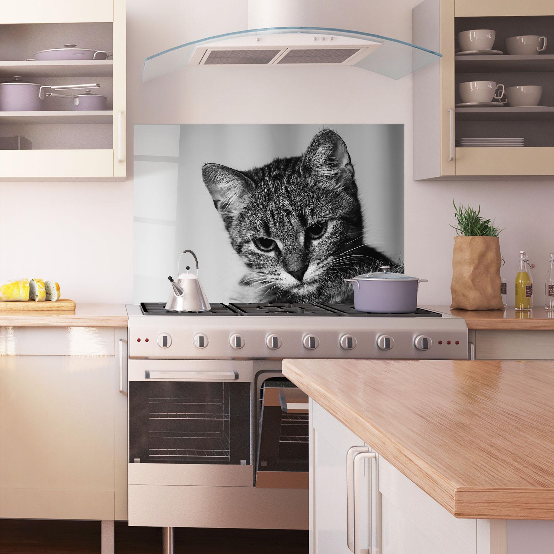 Konyhai üveg hátfal Grey Focused Cat mockup 1