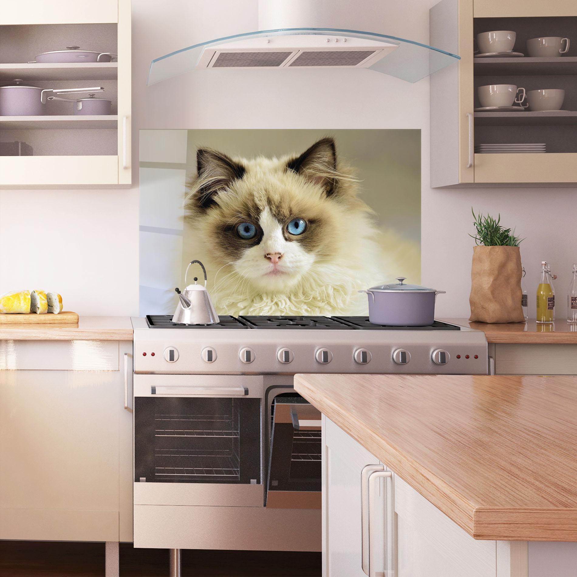 Konyhai üveg hátfal Interesting Blue Eyes Cat mockup 1