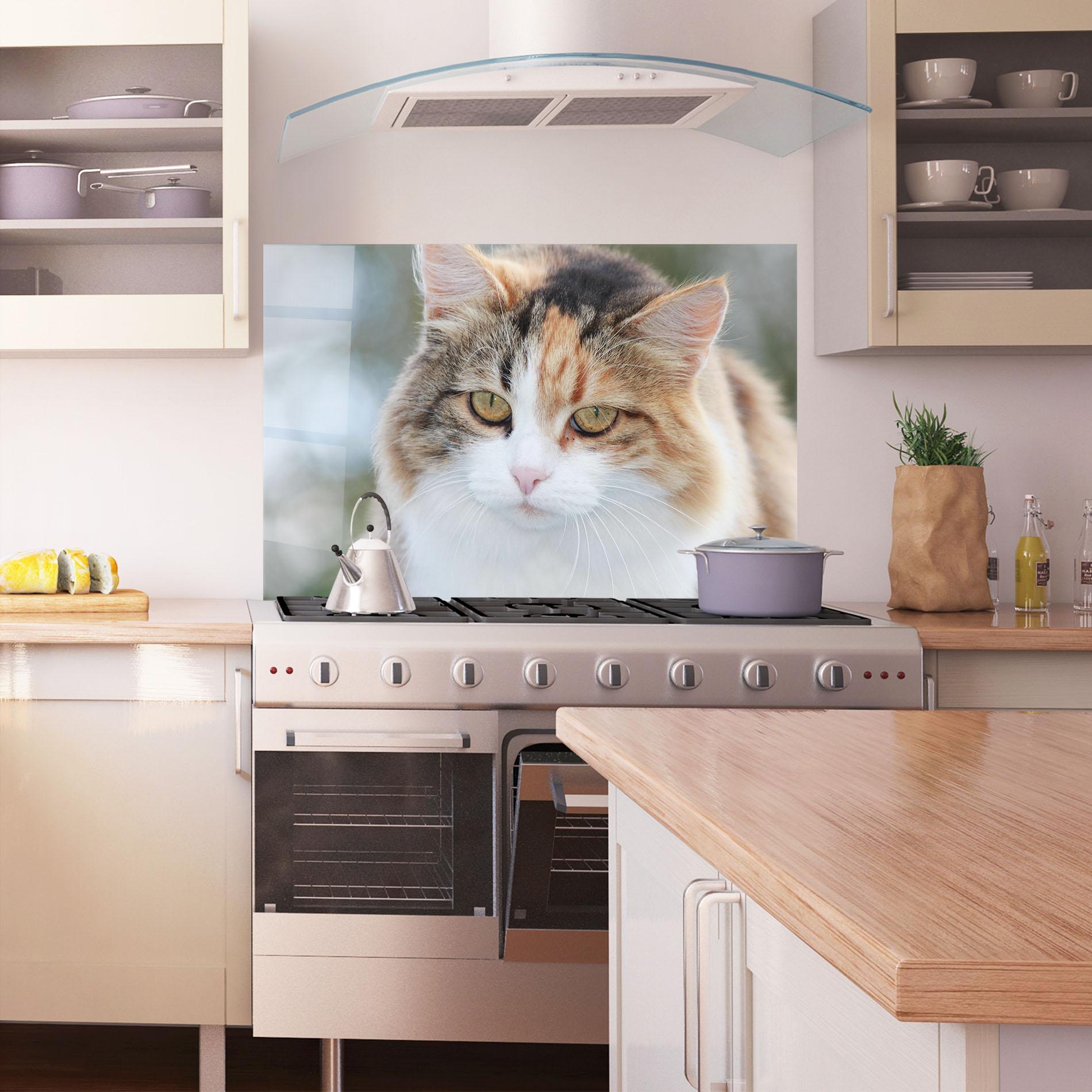 Konyhai üveg hátfal Orange Brown Cat mockup 1