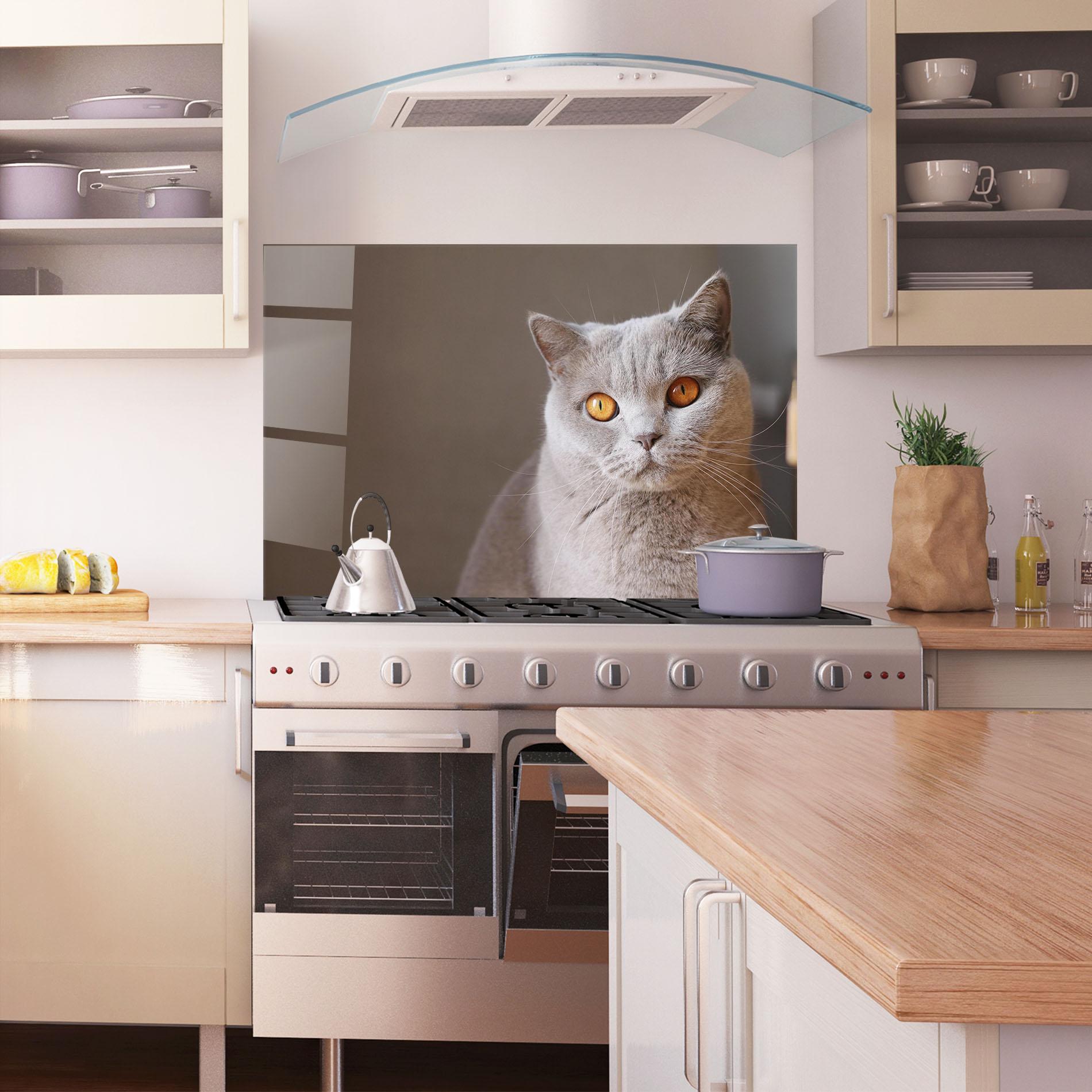 Konyhai üveg hátfal Orange Eyes Cat mockup 1