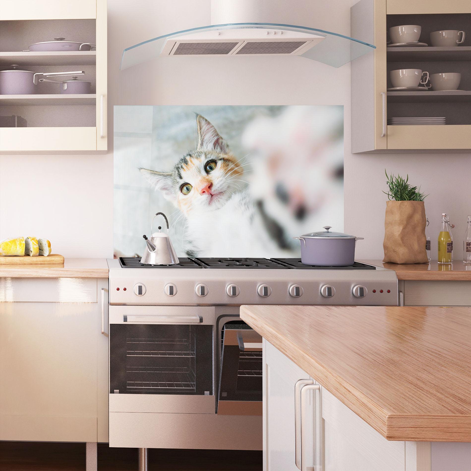 Konyhai üveg hátfal Pretty Pink Nose Cat mockup 1