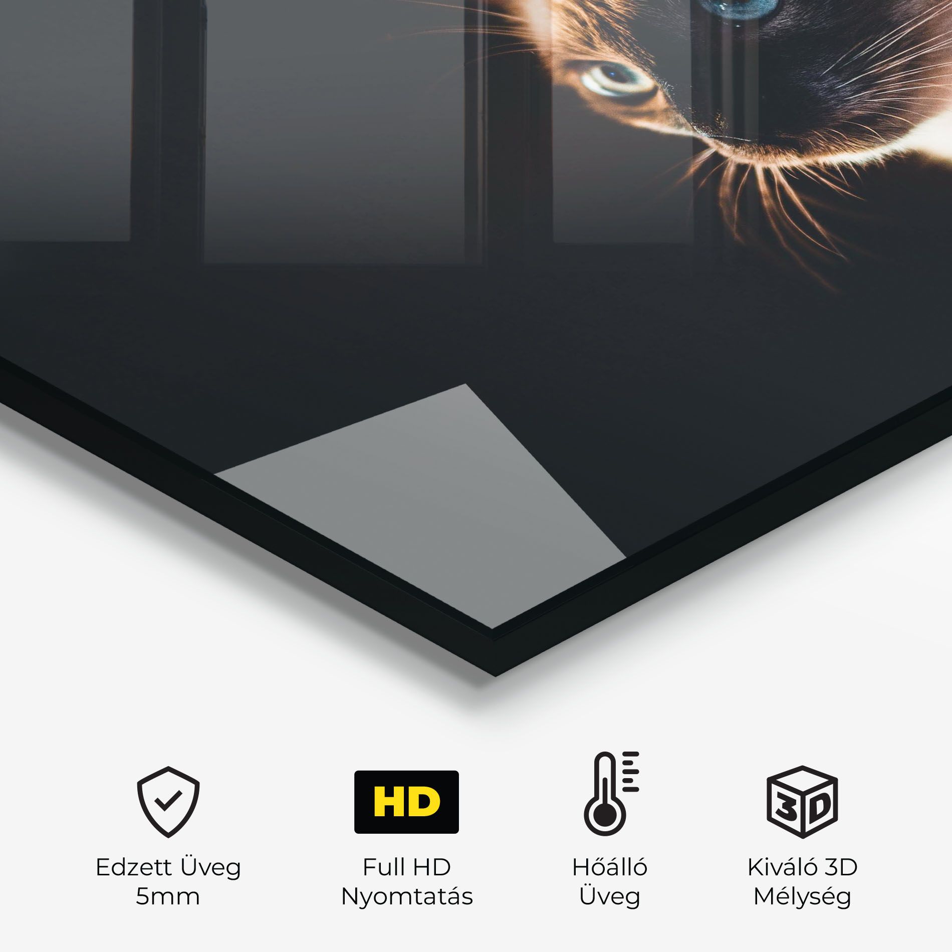 Blue Eyes Cat In Dark mockup 2