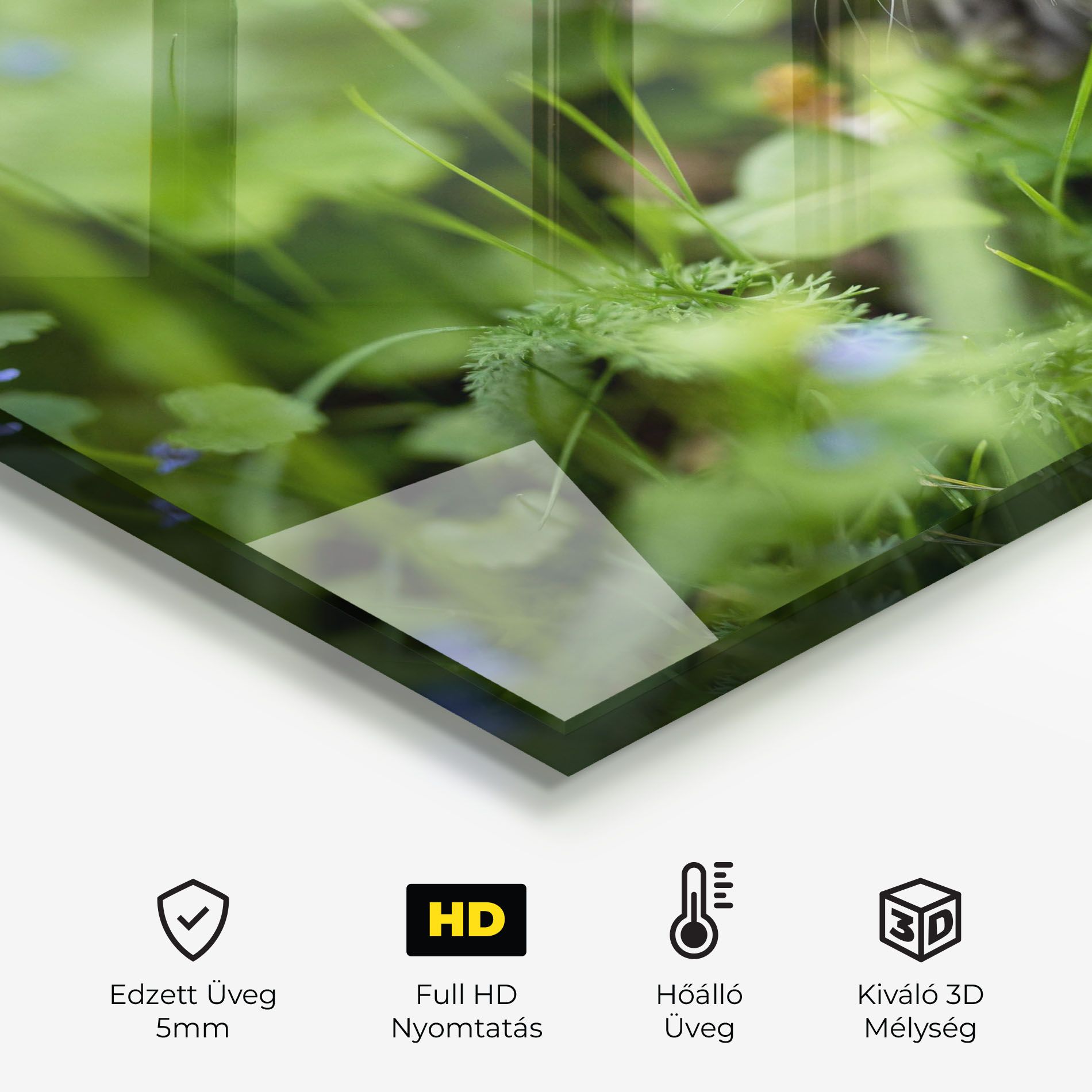 Brown Baby Cat mockup 2