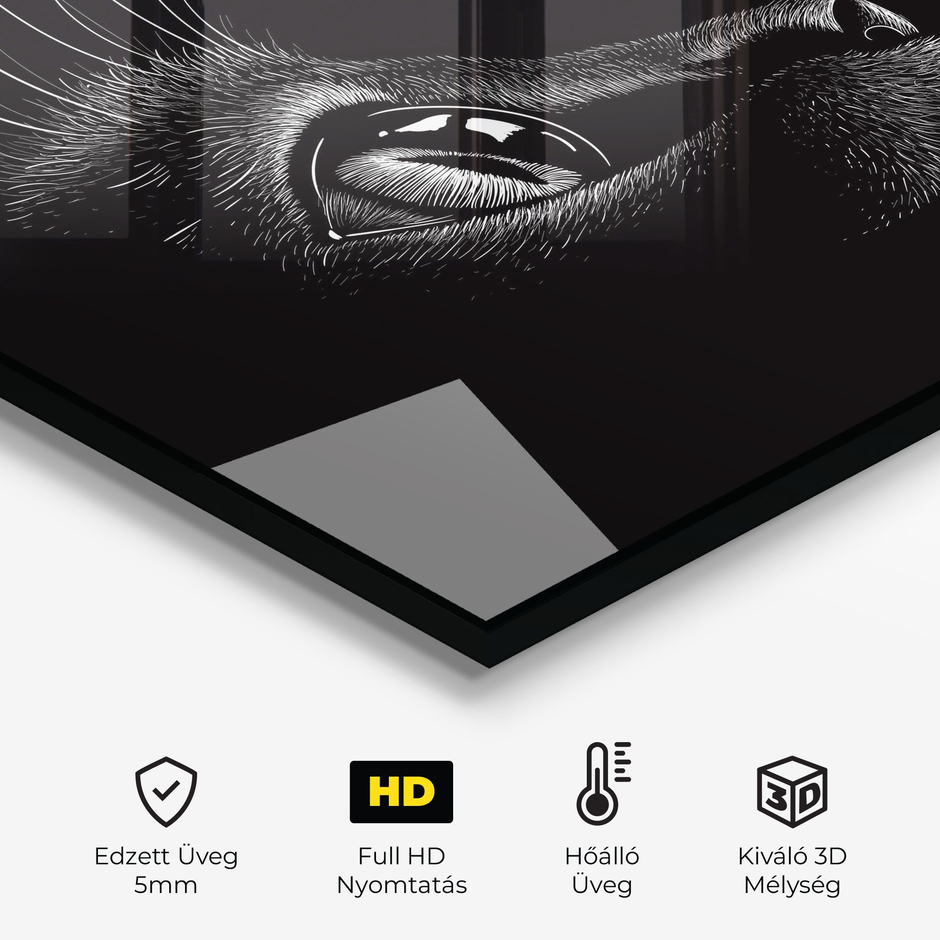 Glass Eye Cat mockup 2