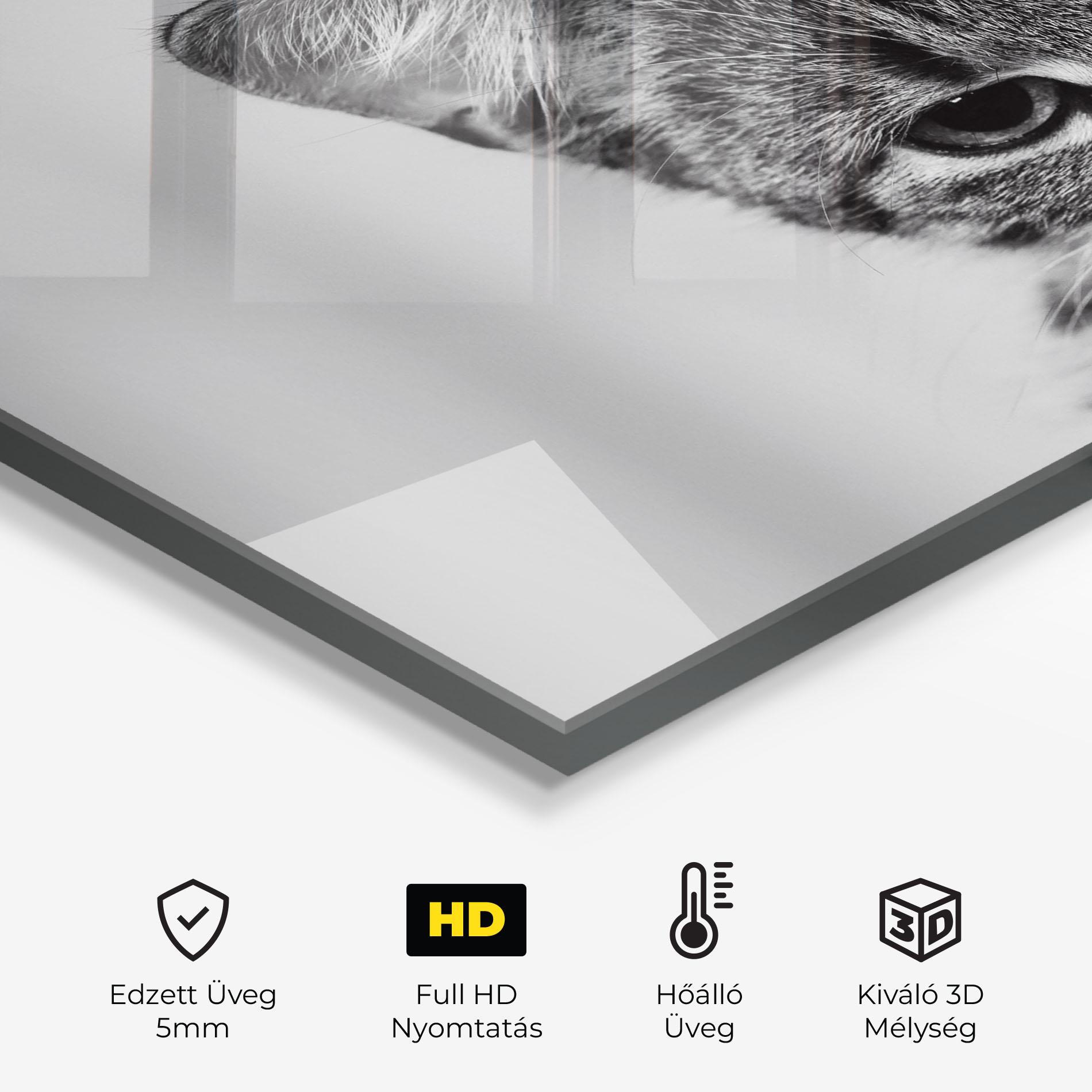Konyhai üveg hátfal Grey Focused Cat mockup 2