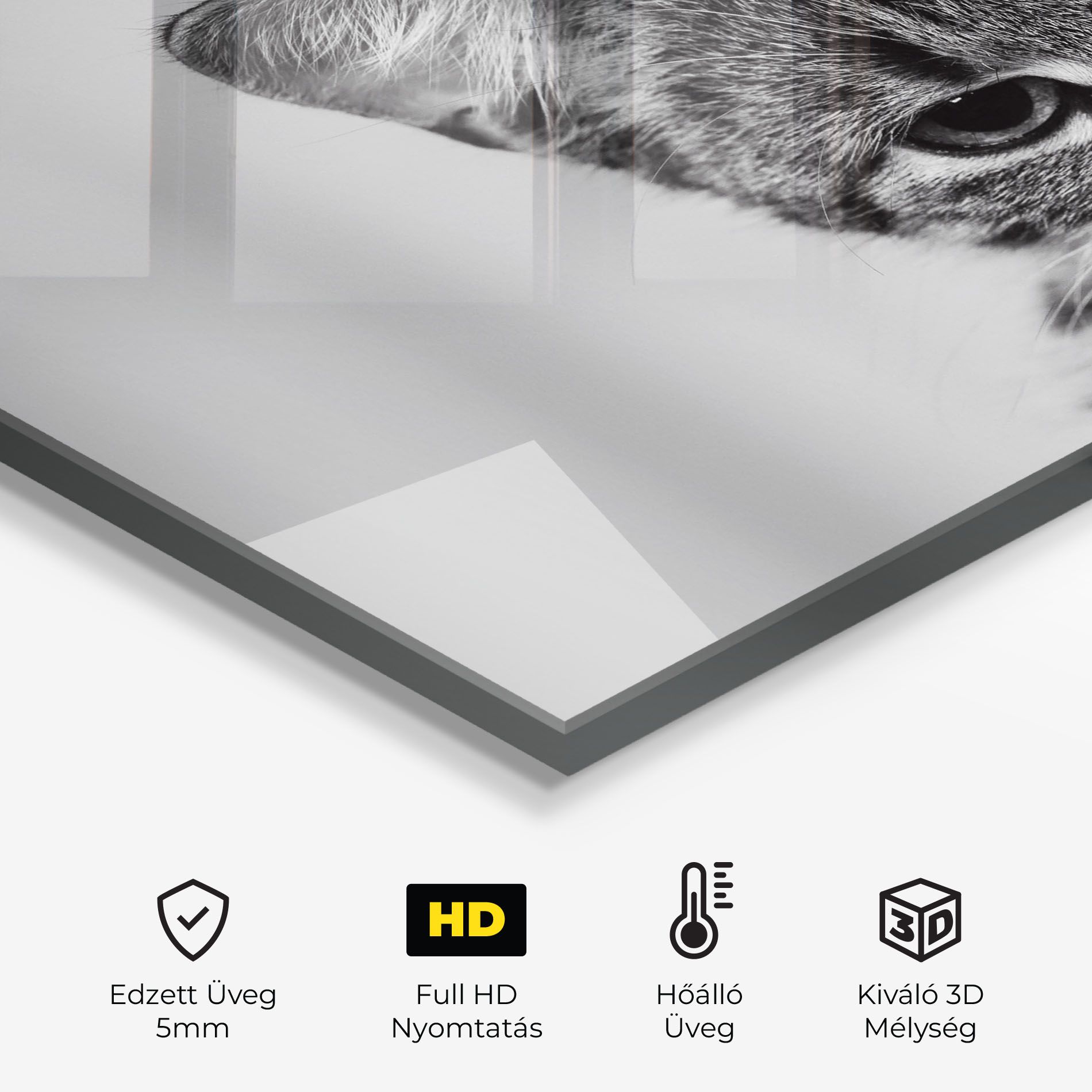 Grey Focused Cat mockup 2
