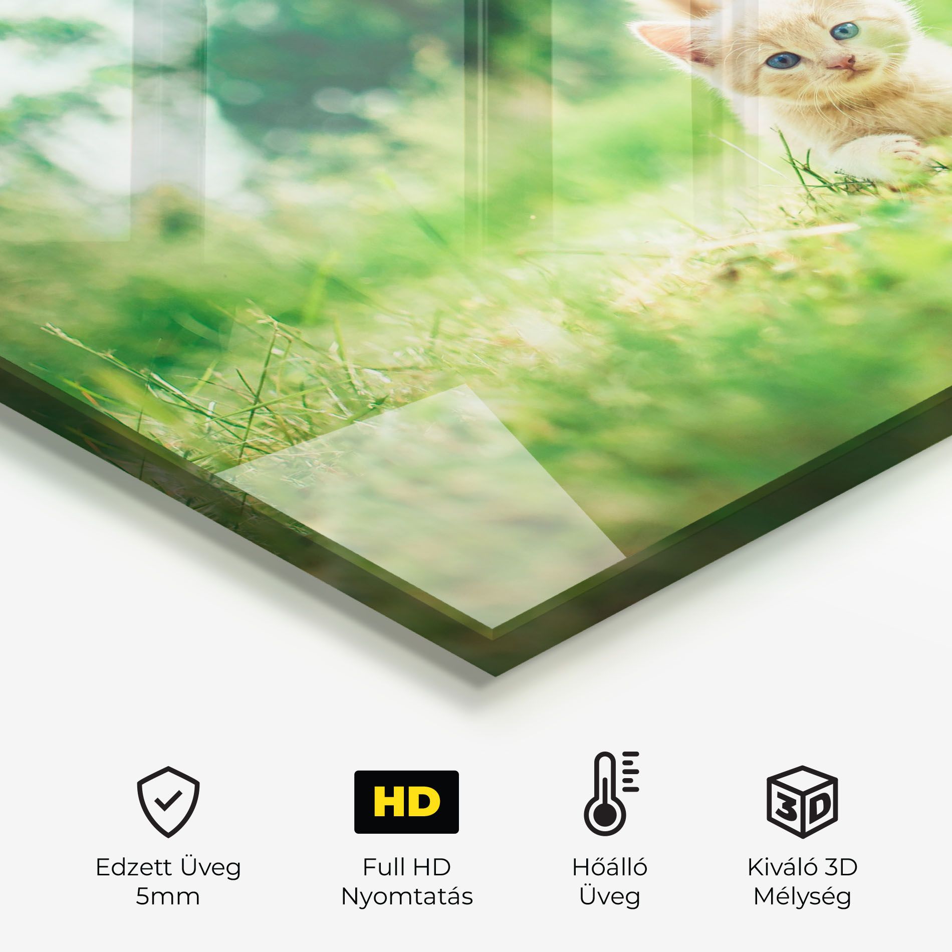 Little Cute Cat mockup 2