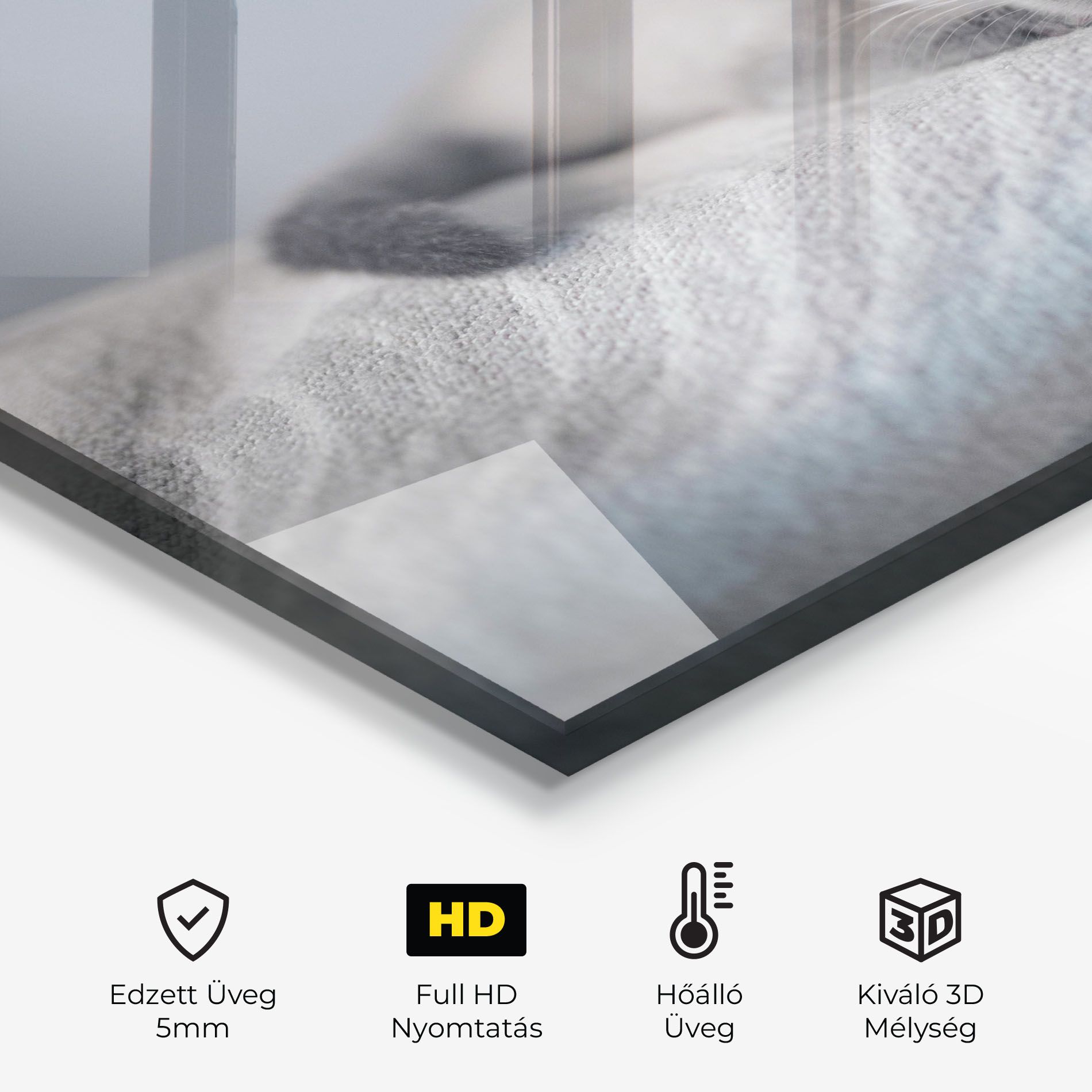 Sleepy Grey Cat mockup 2