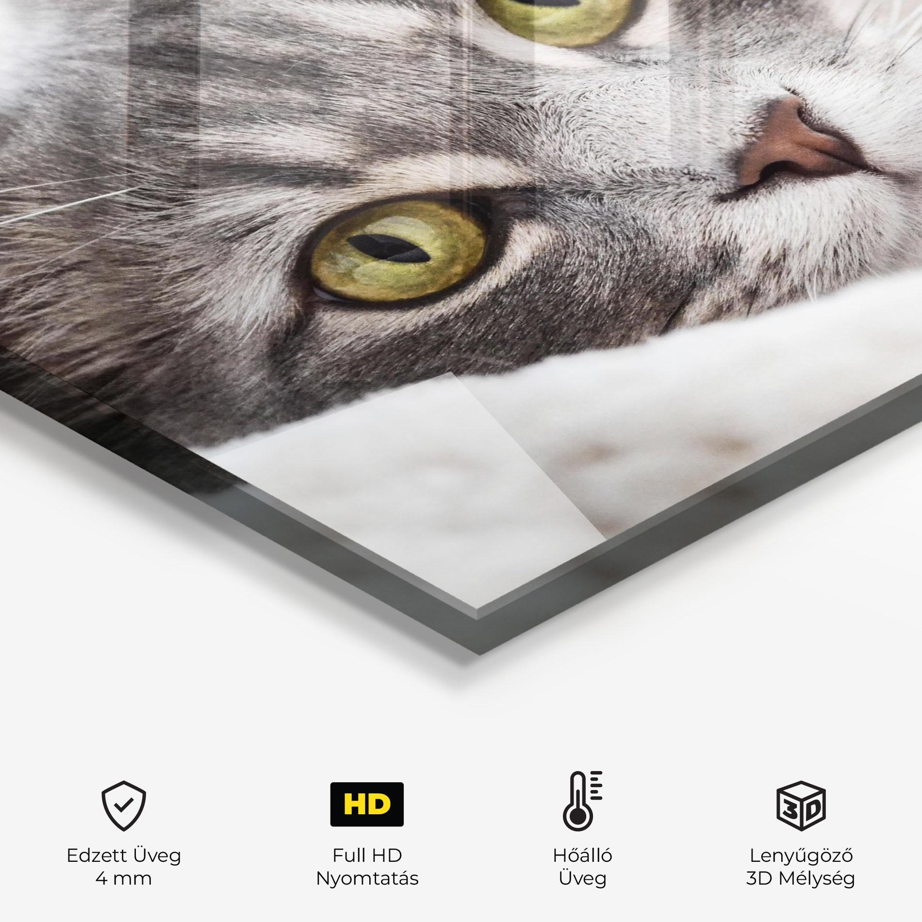 Konyhai üveg hátfal Grey Fluffy Cat mockup 2