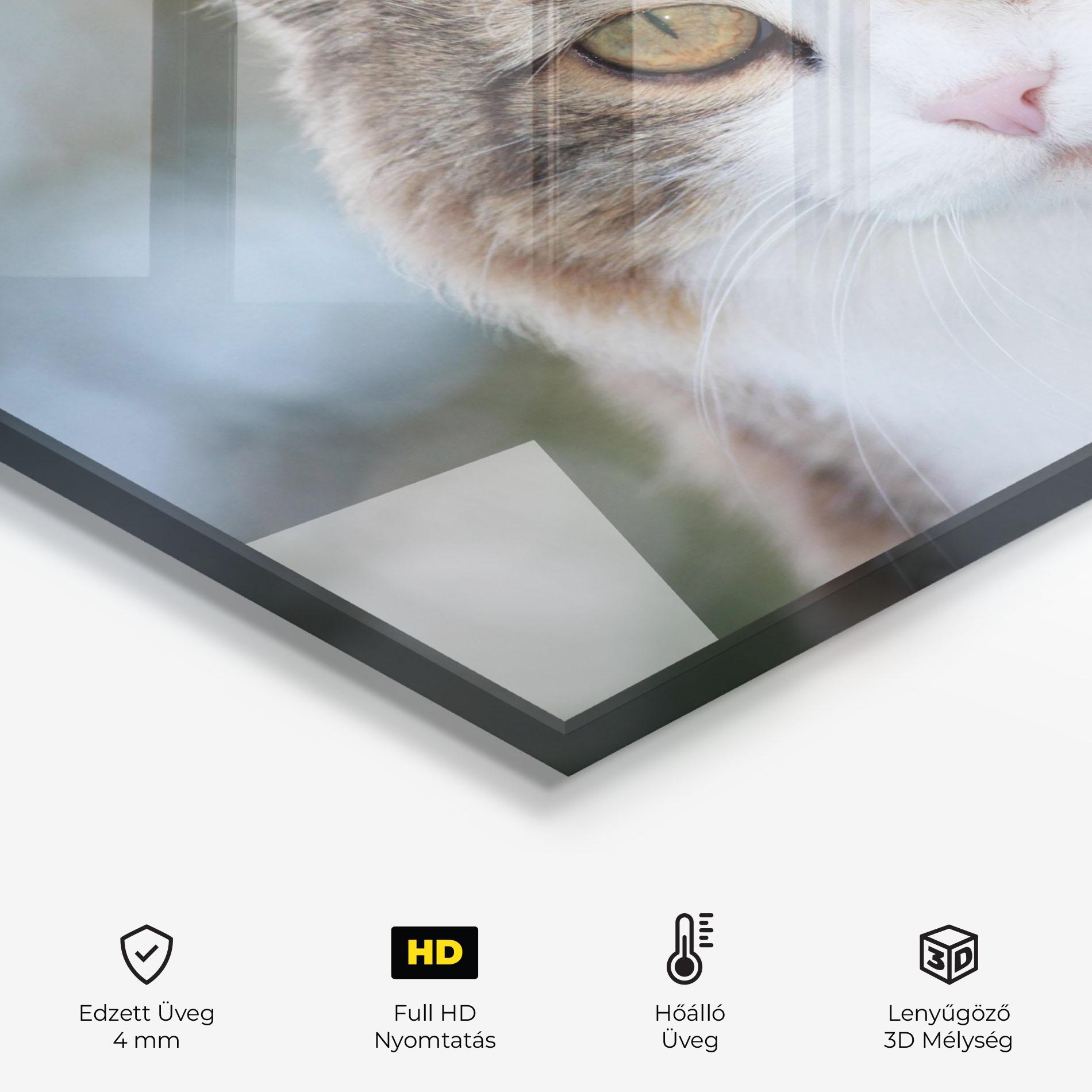 Konyhai üveg hátfal Orange Brown Cat mockup 2