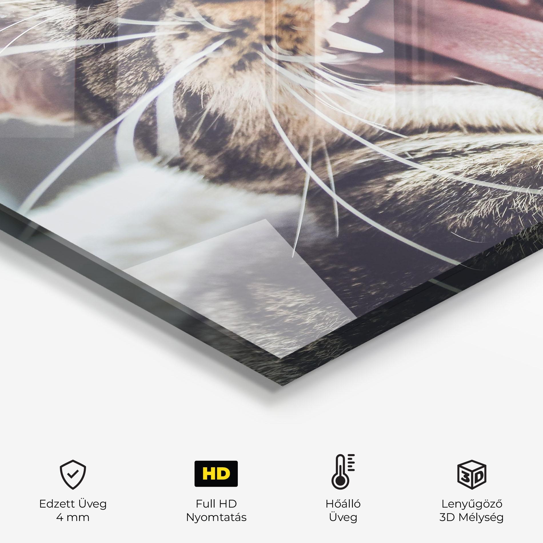 Konyhai üveg hátfal Wroar Cat mockup 2