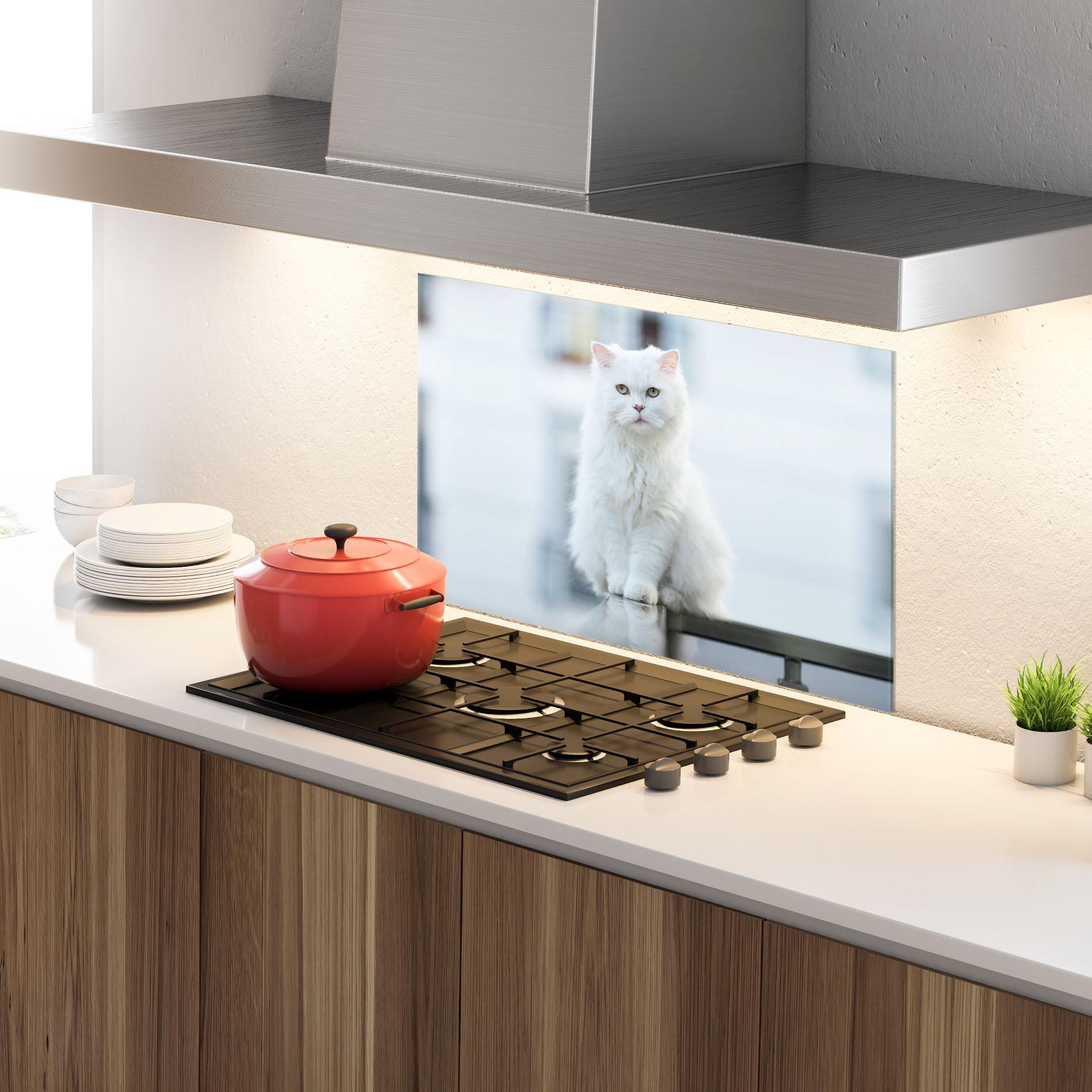 Konyhai üveg hátfal Big White Cat mockup 4