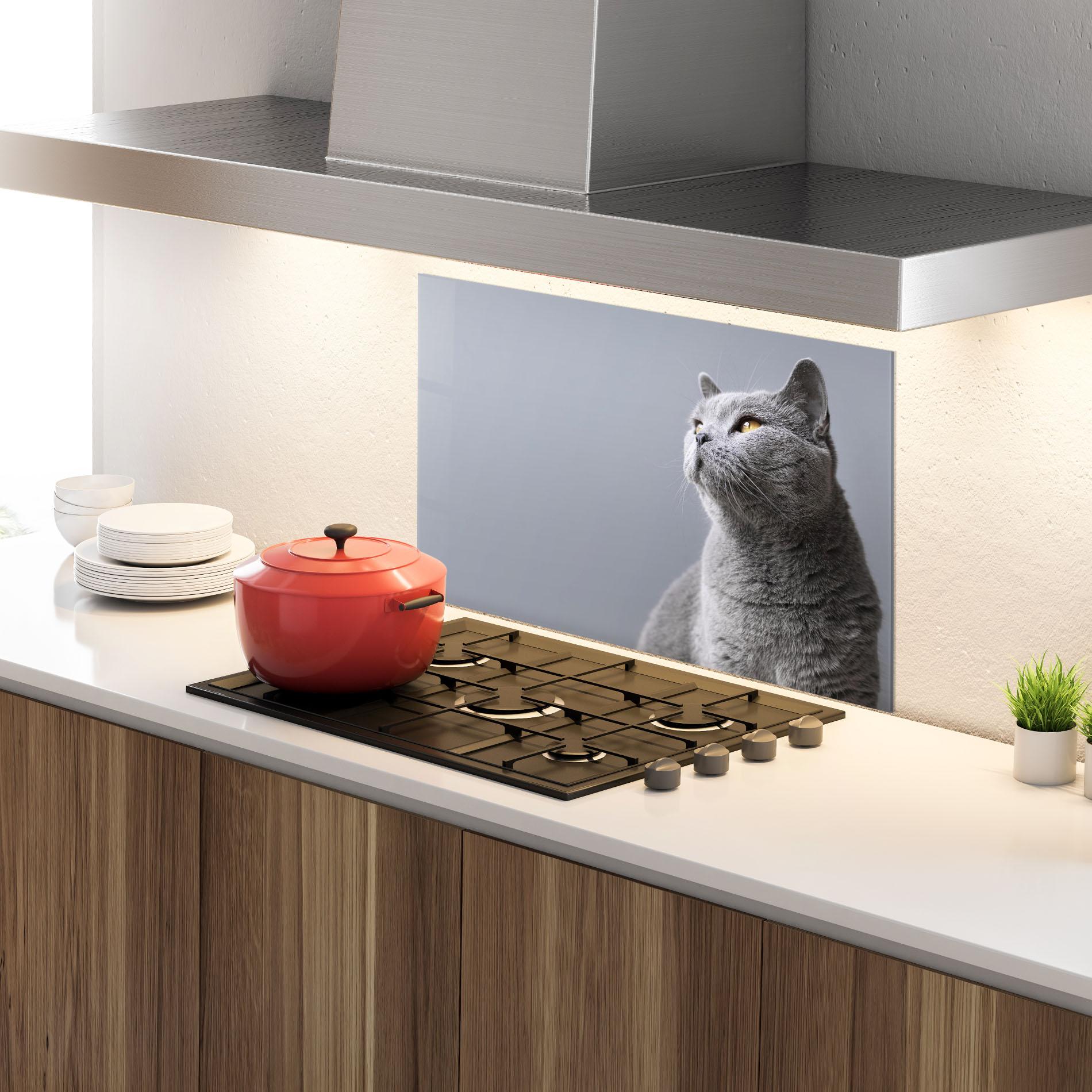 Konyhai üveg hátfal Gray Kitty mockup 4