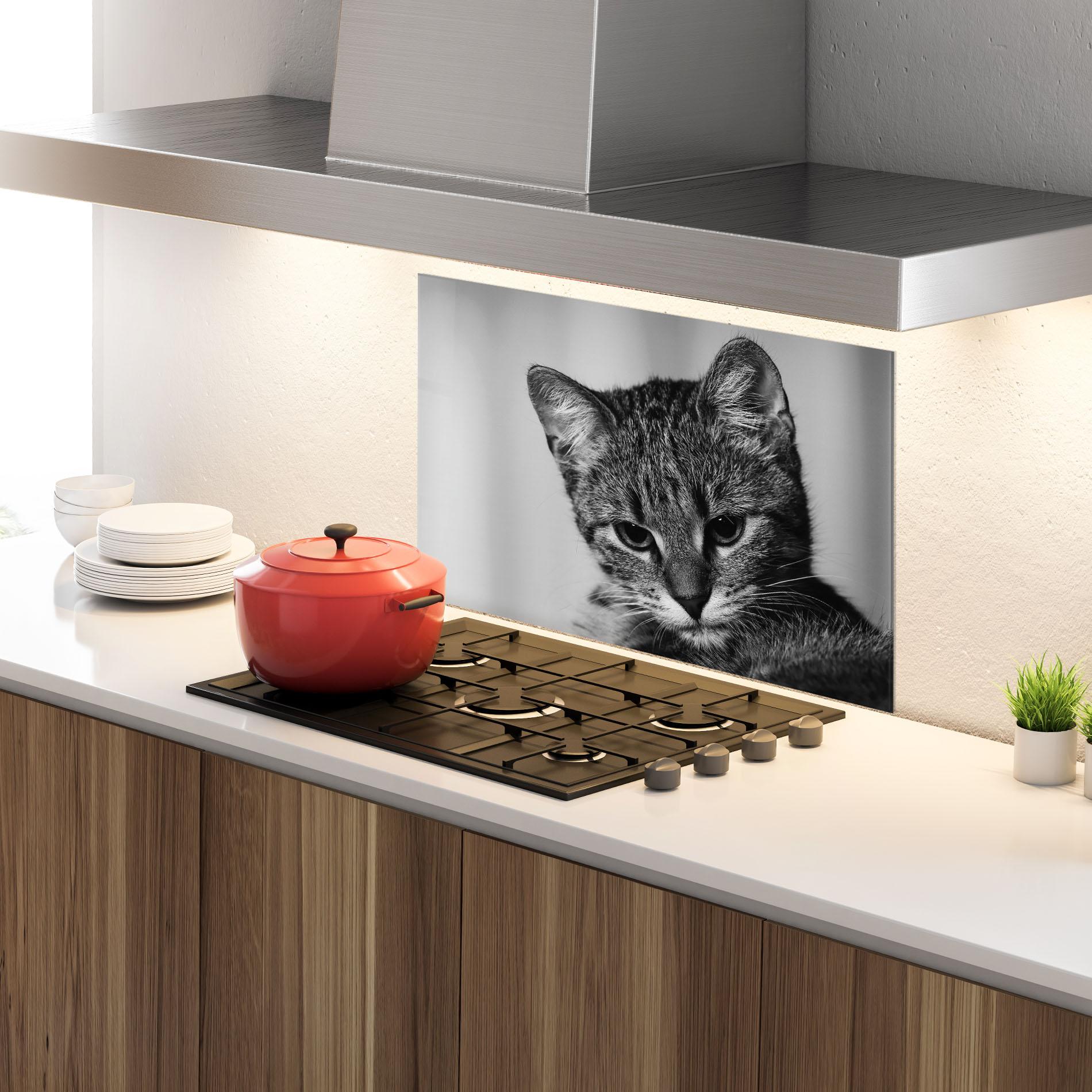 Konyhai üveg hátfal Grey Focused Cat mockup 4