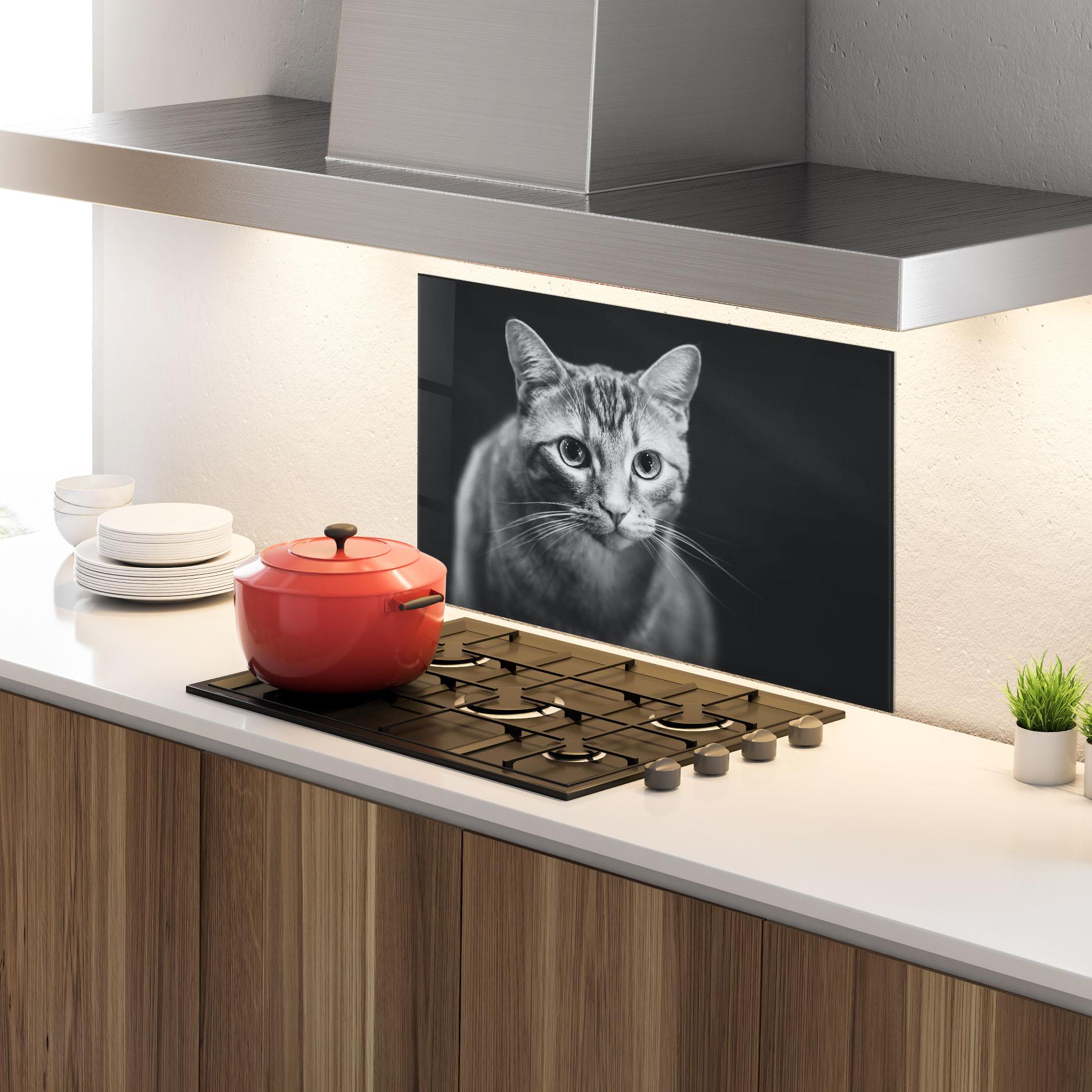 Konyhai üveg hátfal Grey Kitty On Black mockup 4