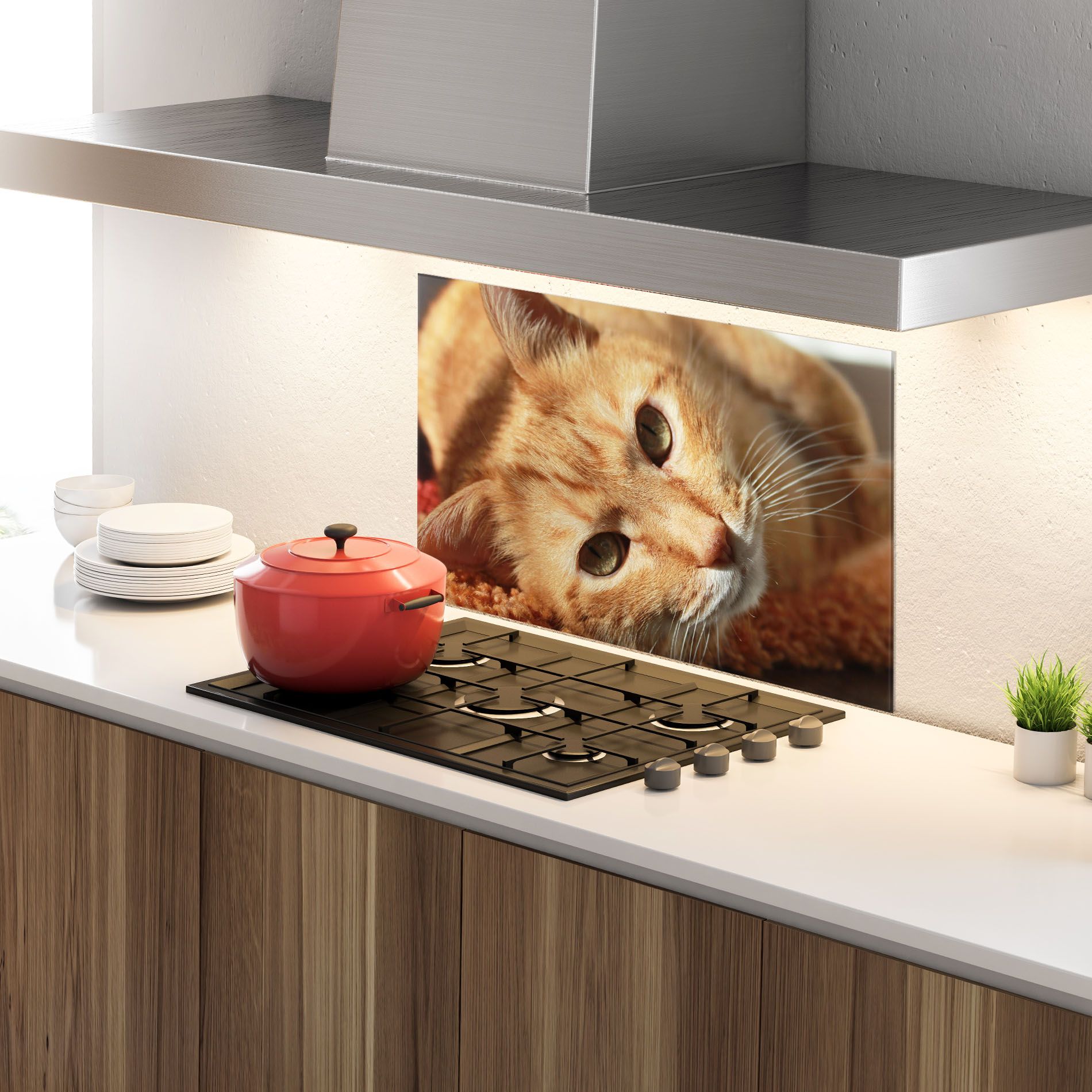 Pretty Orange Cat mockup 4