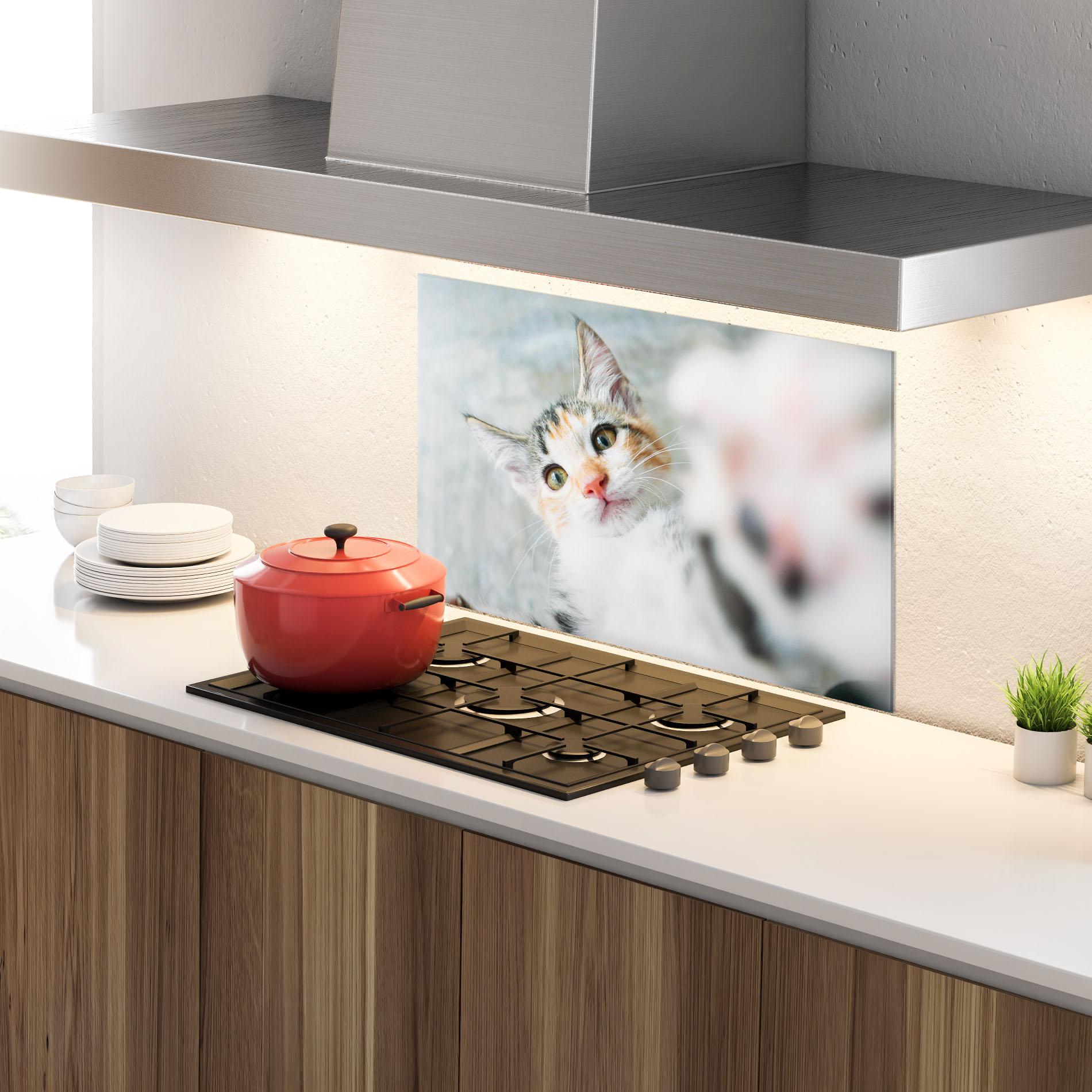 Konyhai üveg hátfal Pretty Pink Nose Cat mockup 4