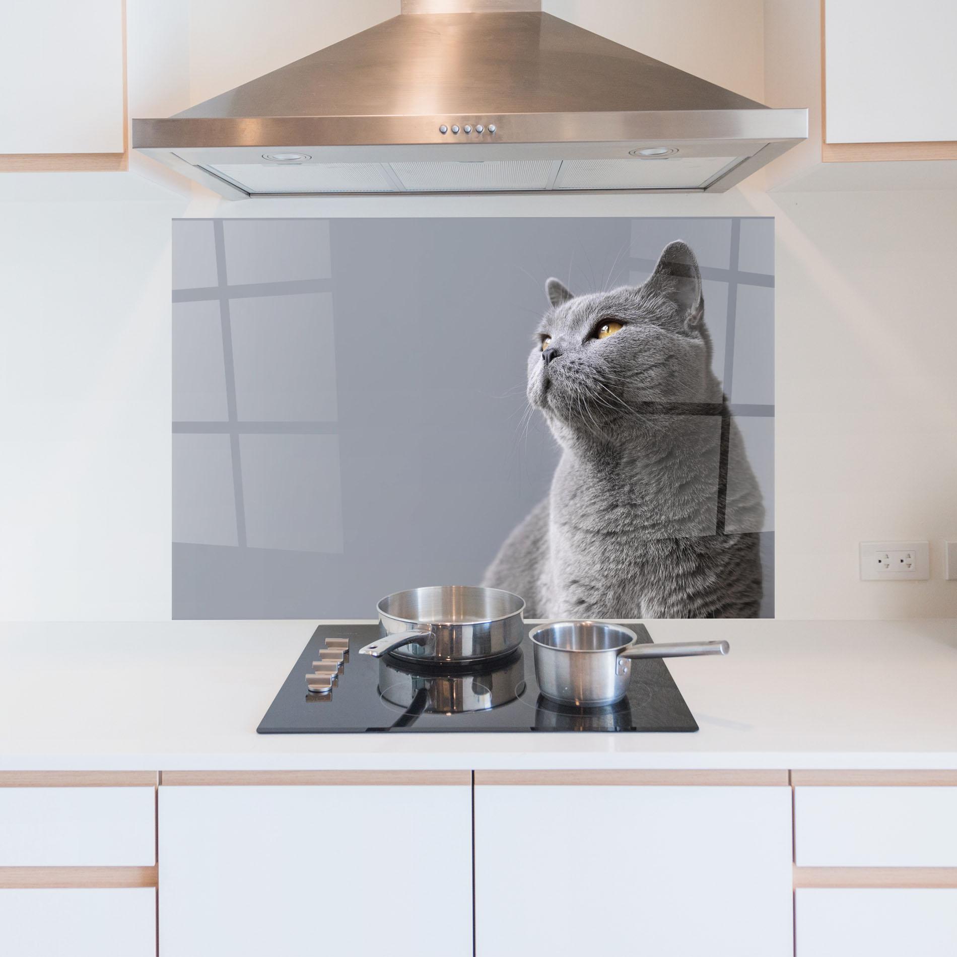 Konyhai üveg hátfal Gray Kitty mockup 5