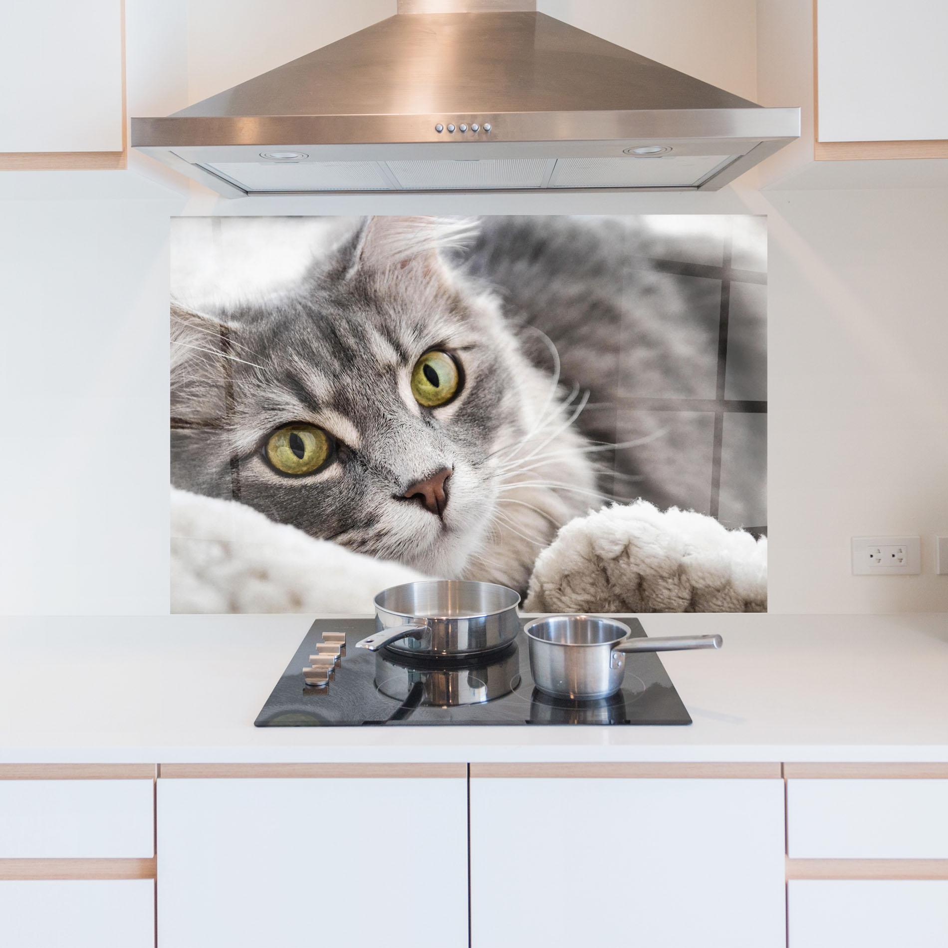 Konyhai üveg hátfal Grey Fluffy Cat mockup 5