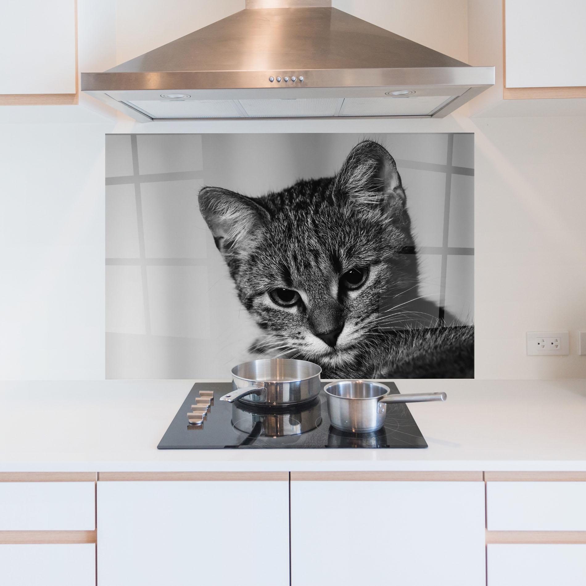 Konyhai üveg hátfal Grey Focused Cat mockup 5