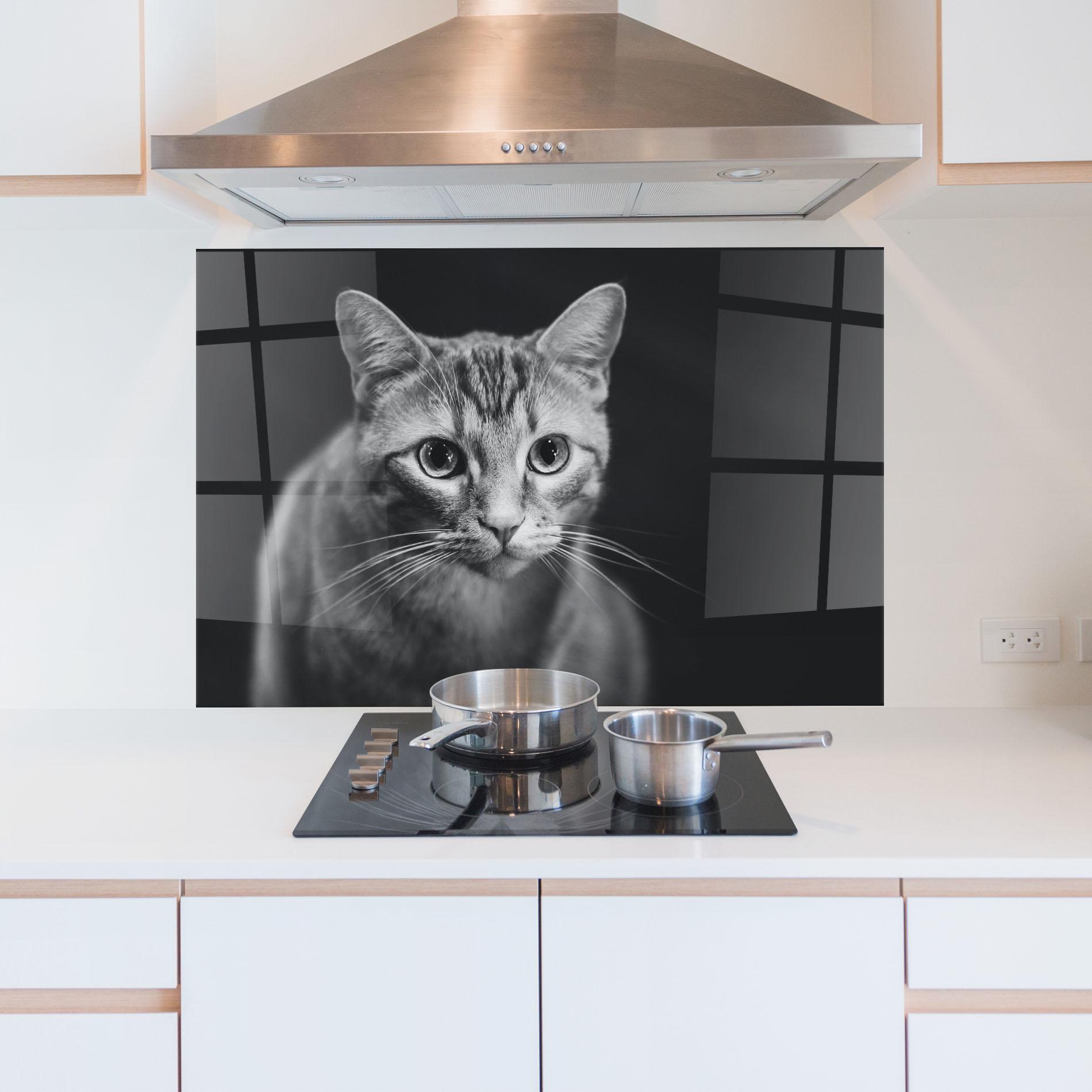 Konyhai üveg hátfal Grey Kitty On Black mockup 5