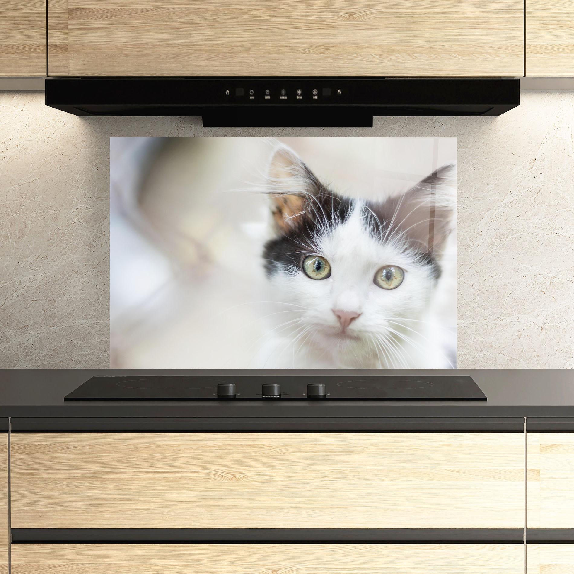 Konyhai üveg hátfal Cutie Cat mockup 3