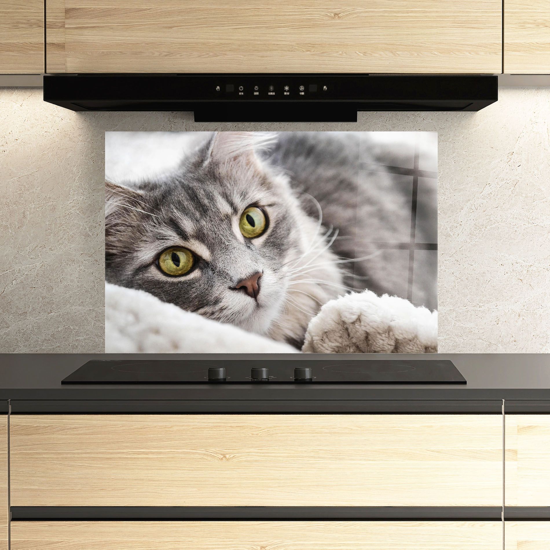Grey Fluffy Cat mockup 3