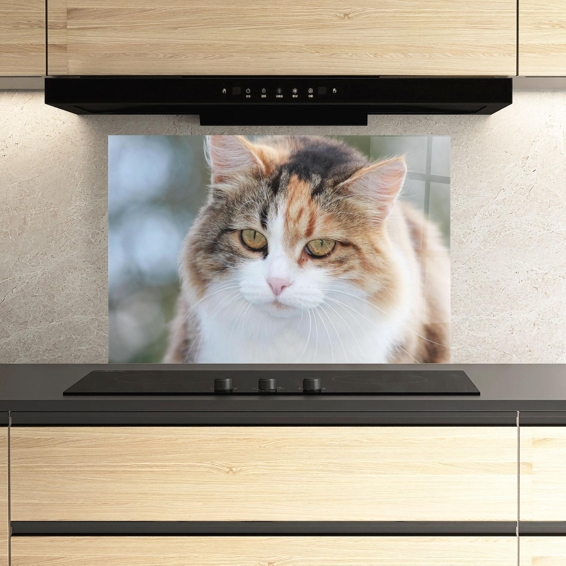Konyhai üveg hátfal Orange Brown Cat mockup 3