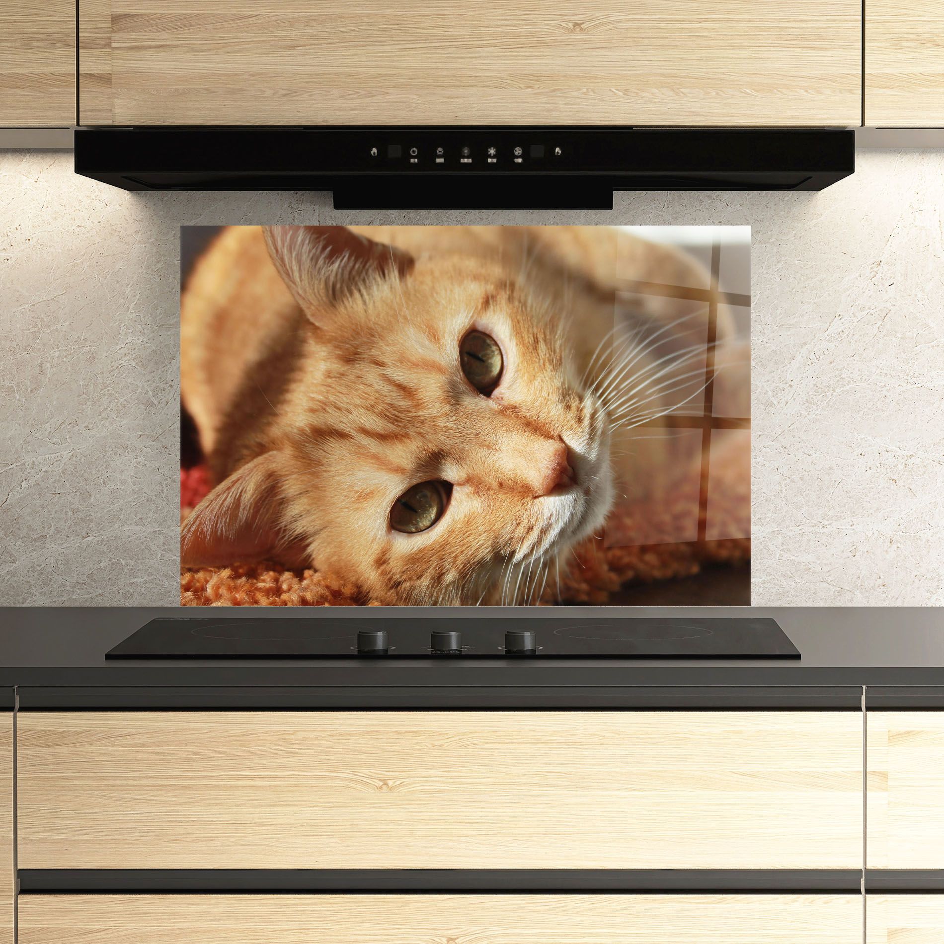 Pretty Orange Cat mockup 3