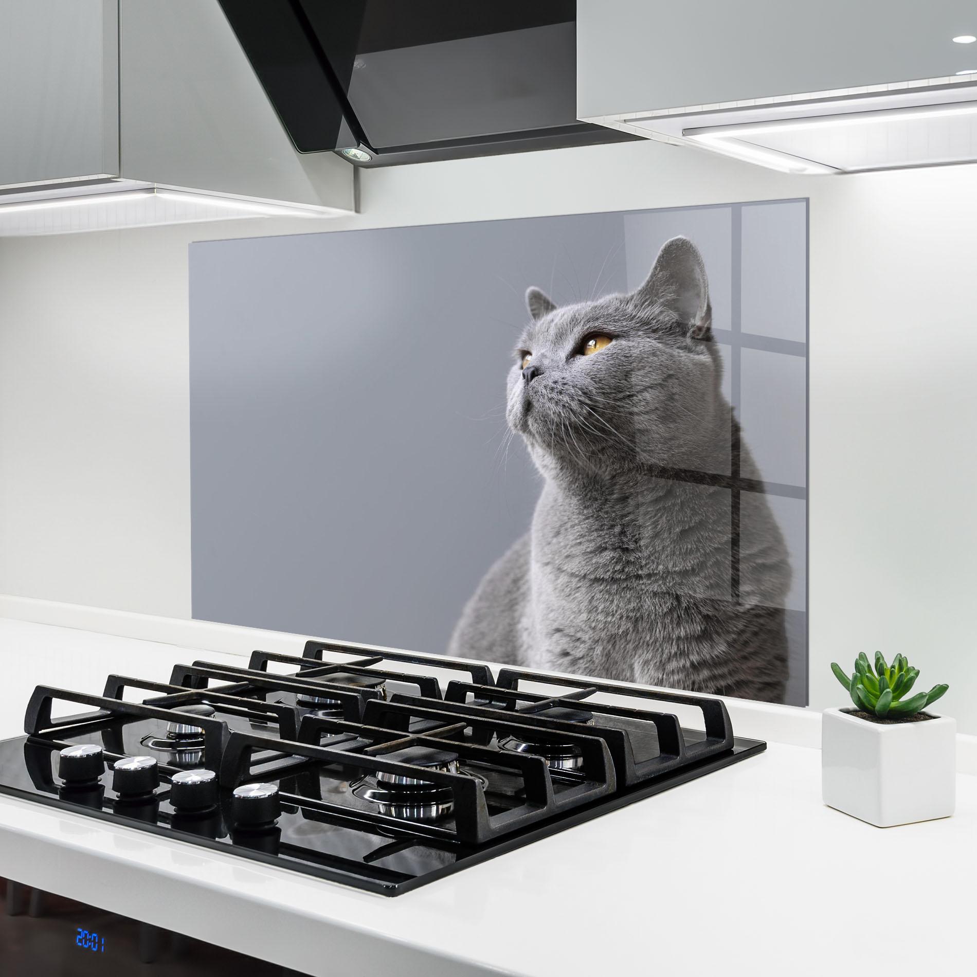 Konyhai üveg hátfal Gray Kitty mockup 6