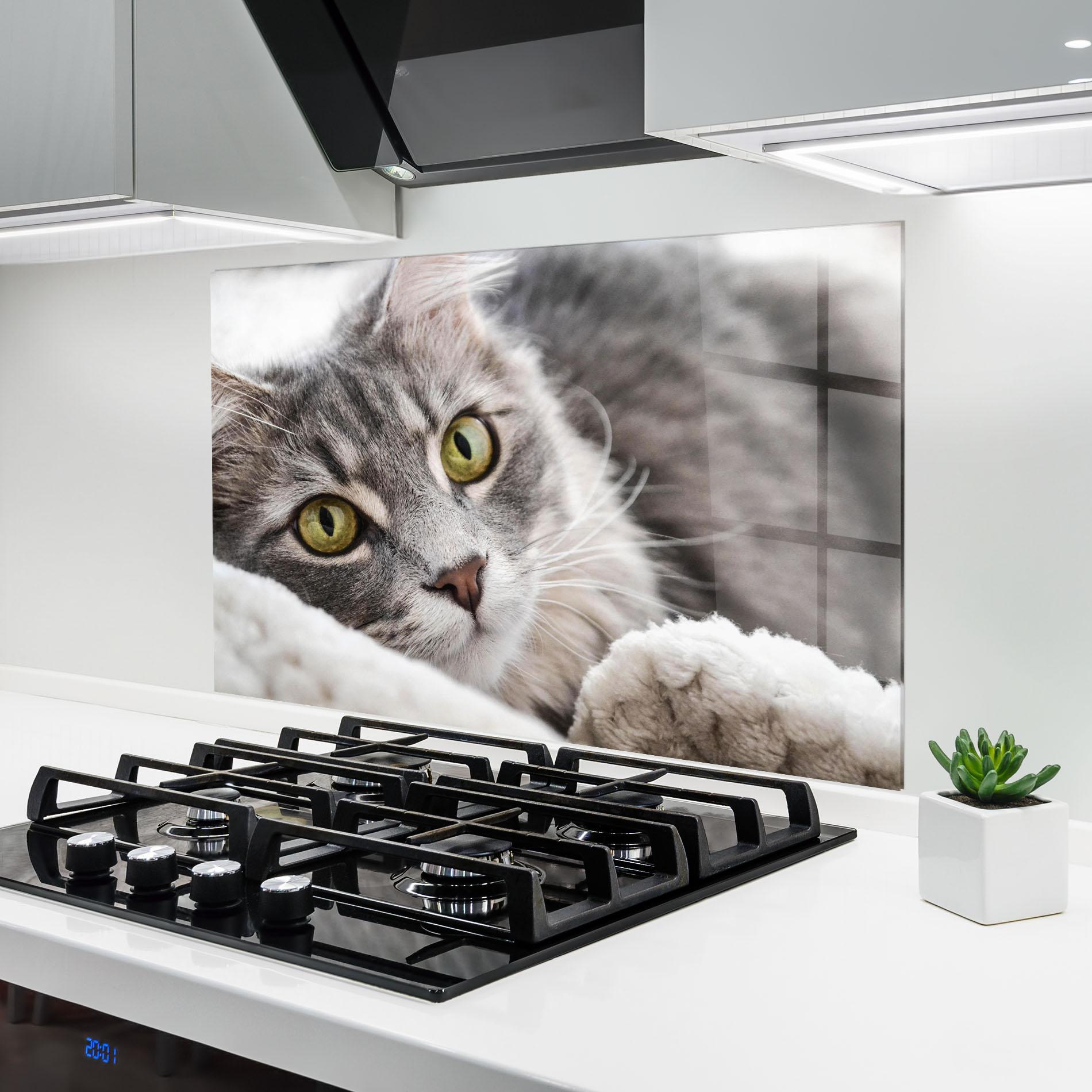 Konyhai üveg hátfal Grey Fluffy Cat mockup 6