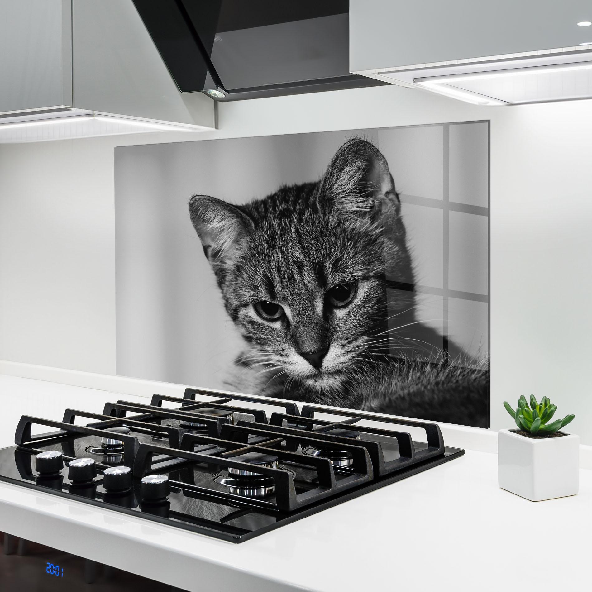 Konyhai üveg hátfal Grey Focused Cat mockup 6