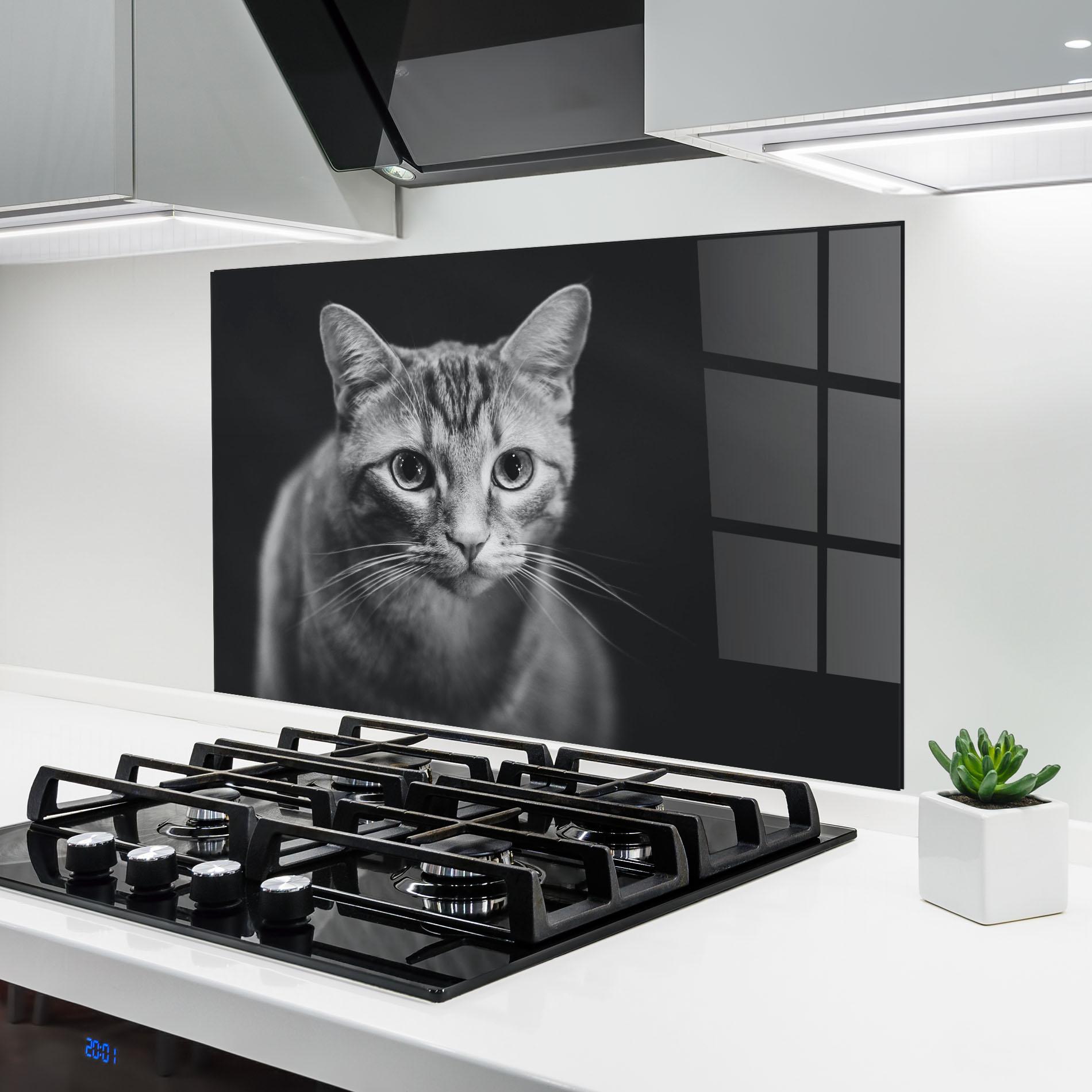 Konyhai üveg hátfal Grey Kitty On Black mockup 6