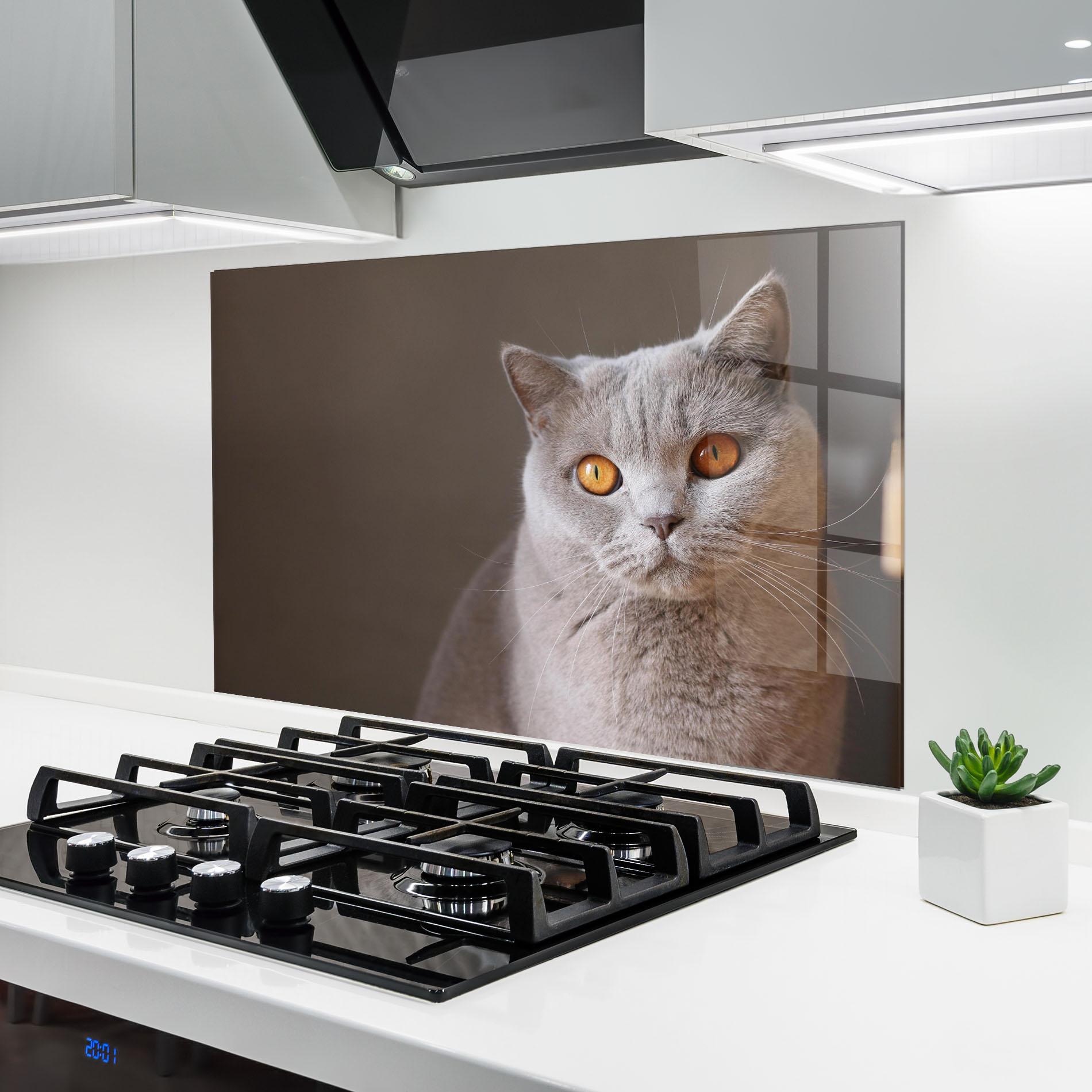 Konyhai üveg hátfal Orange Eyes Cat mockup 6