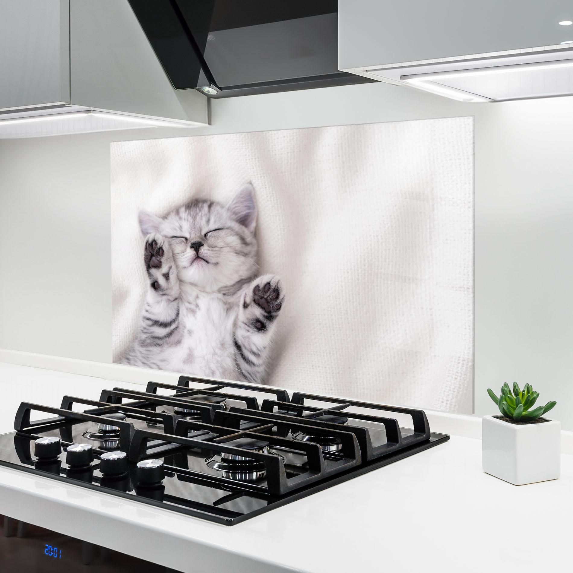 Konyhai üveg hátfal Pretty Baby Cat mockup 6