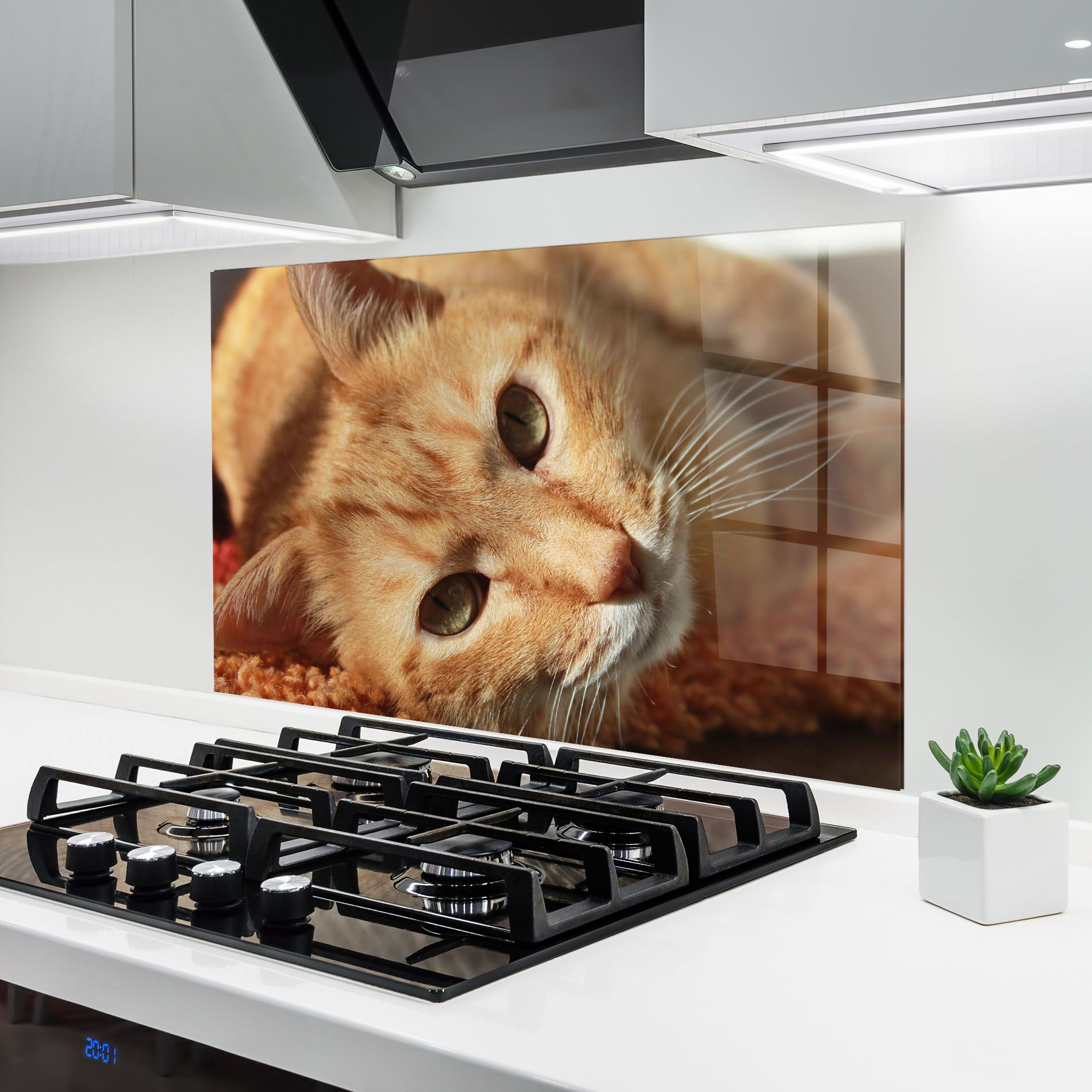 Pretty Orange Cat mockup 6