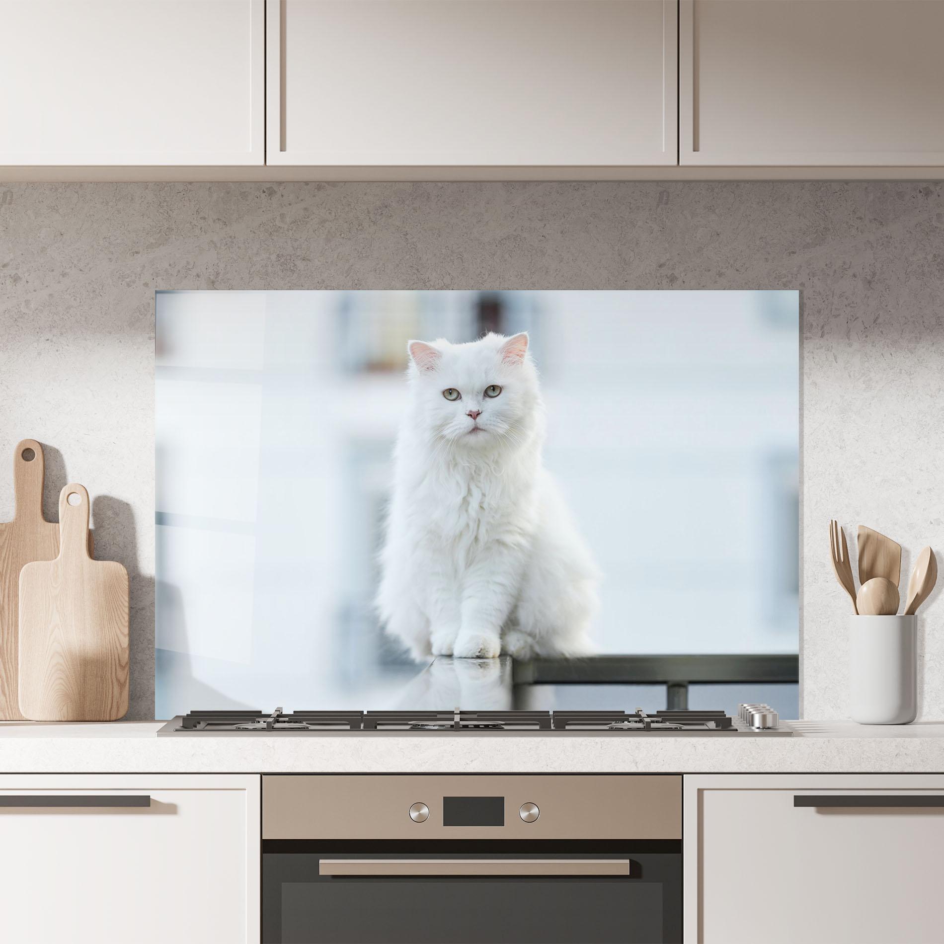 Konyhai üveg hátfal Big White Cat mockup 7