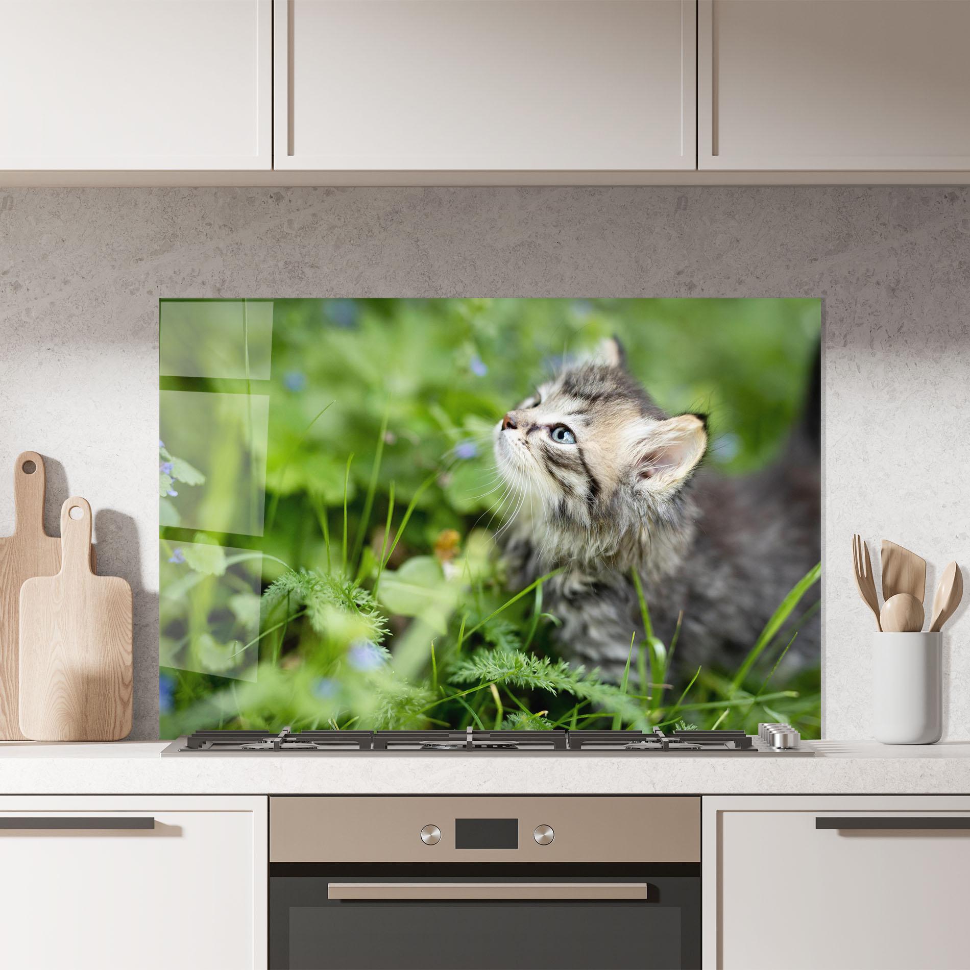 Konyhai üveg hátfal Brown Baby Cat mockup 7