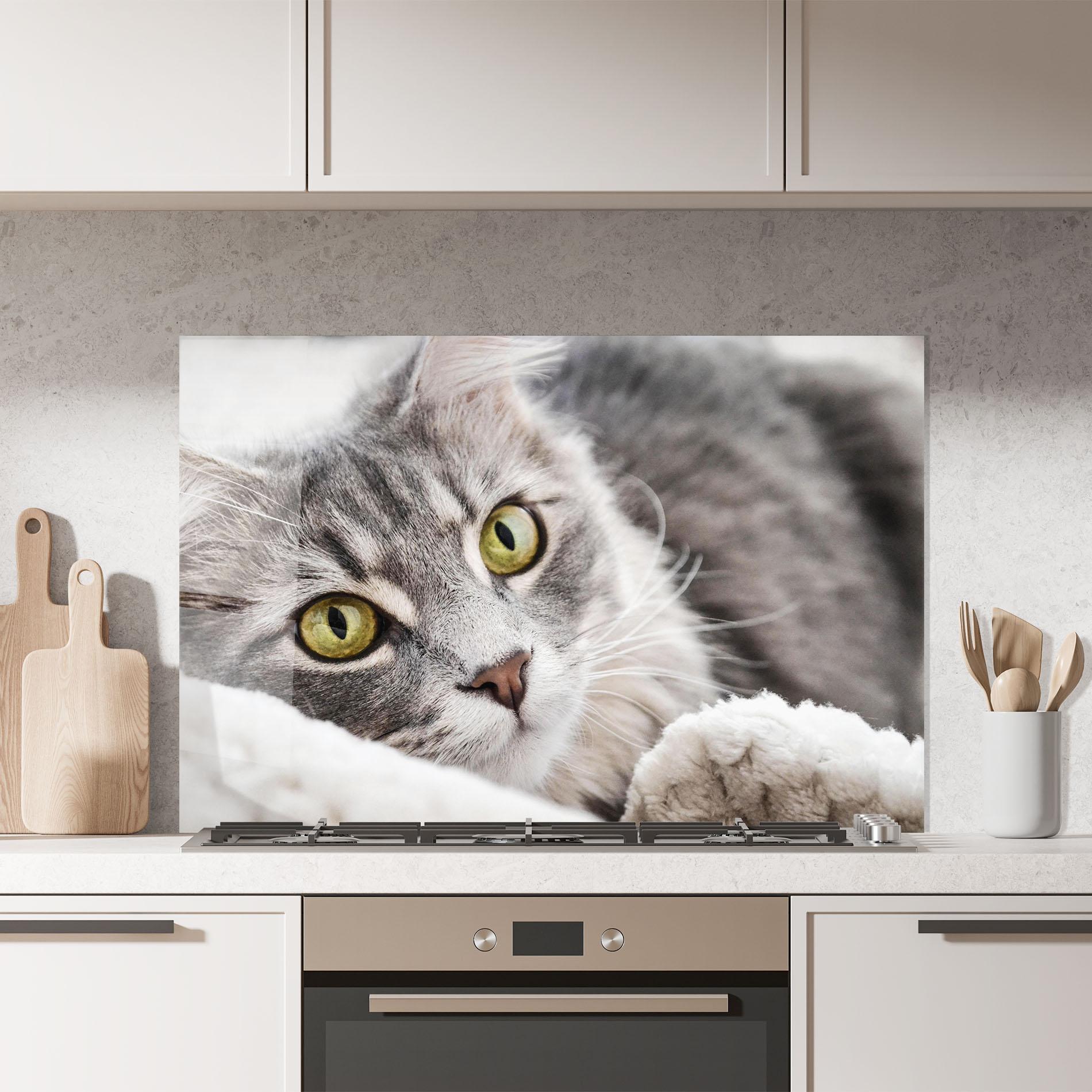 Konyhai üveg hátfal Grey Fluffy Cat mockup 7