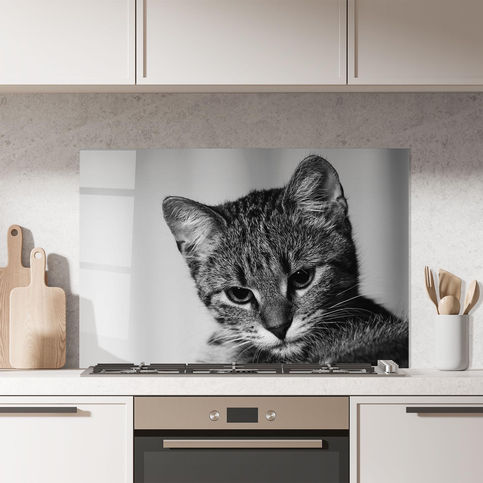 Konyhai üveg hátfal Grey Focused Cat mockup 7