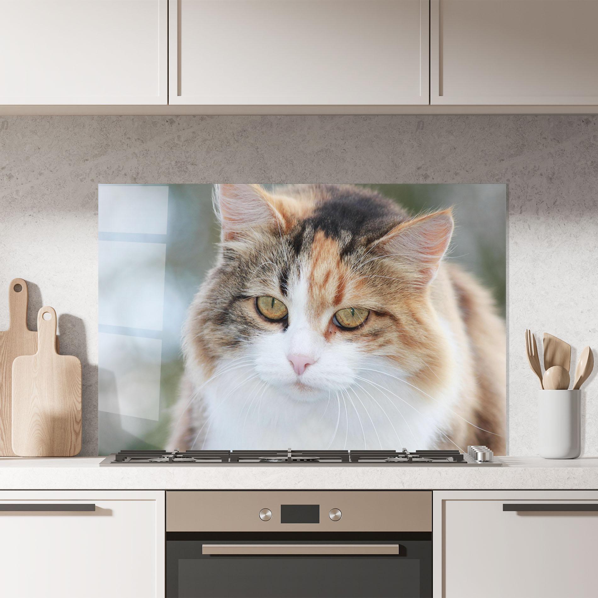 Konyhai üveg hátfal Orange Brown Cat mockup 7