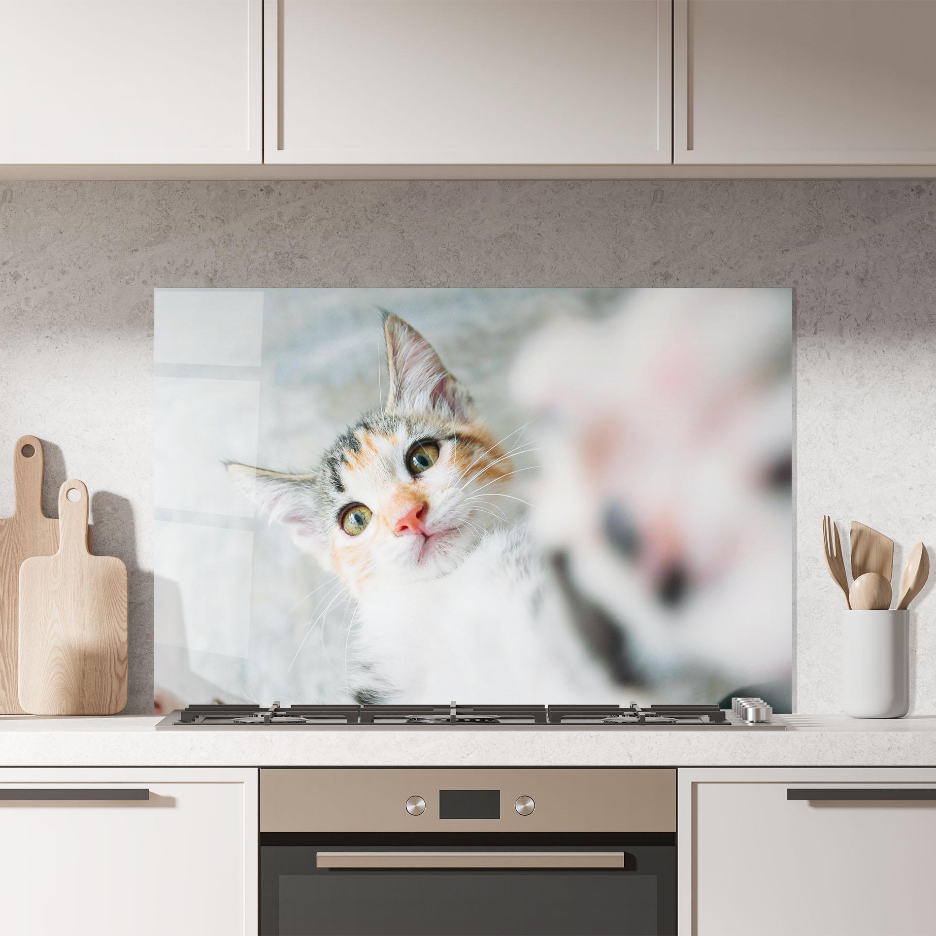 Konyhai üveg hátfal Pretty Pink Nose Cat mockup 7